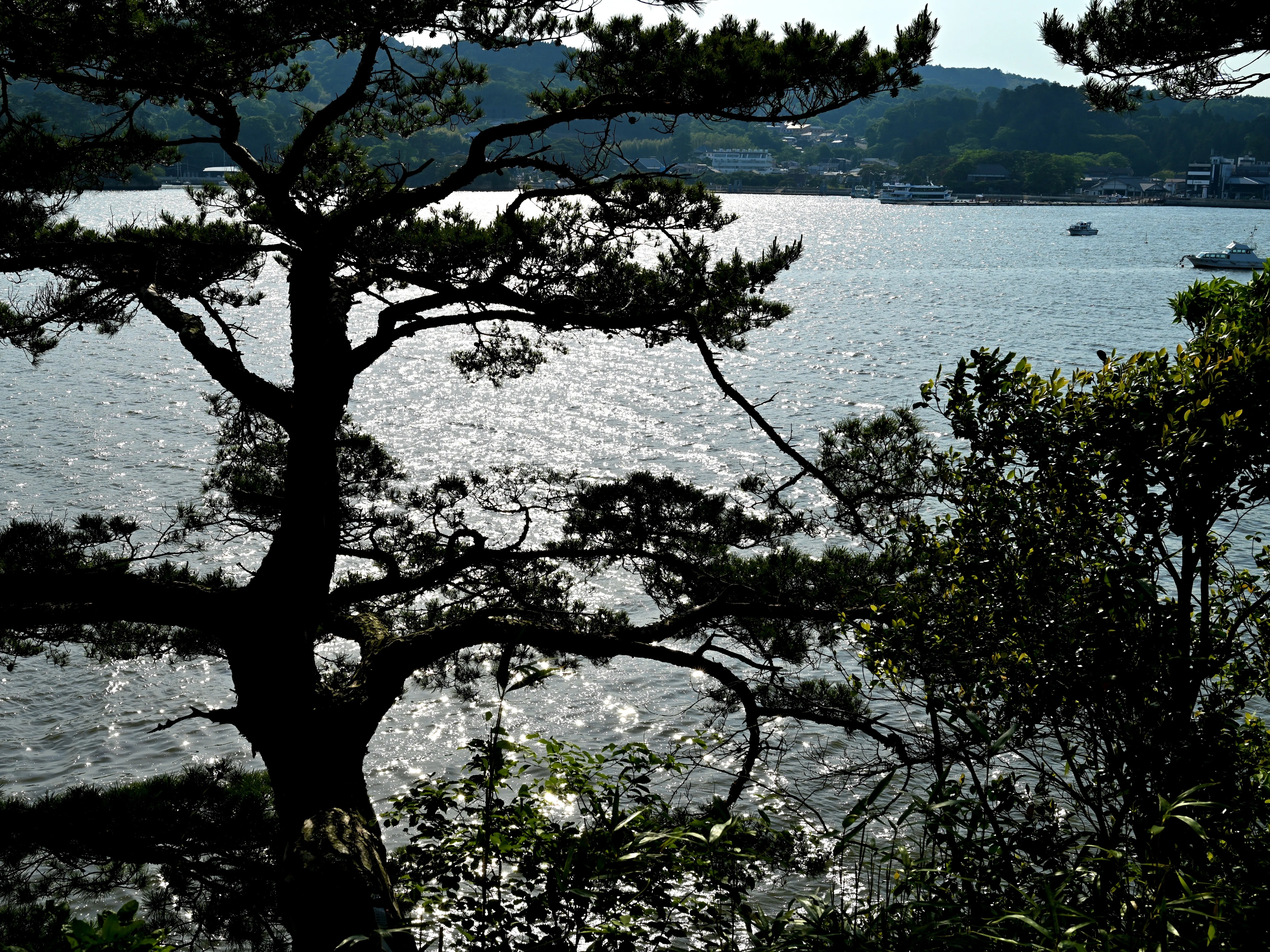 仙台から松島に行った日(2025年6月）｜🦉