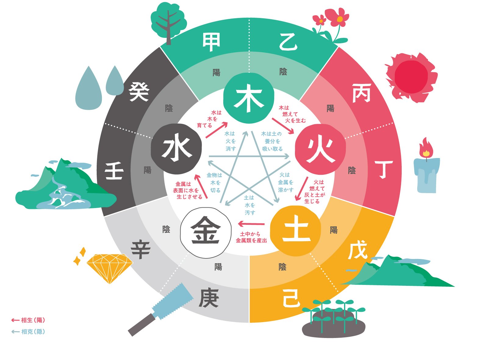 私と出会う四柱推命 5 甲乙｜松本侑子