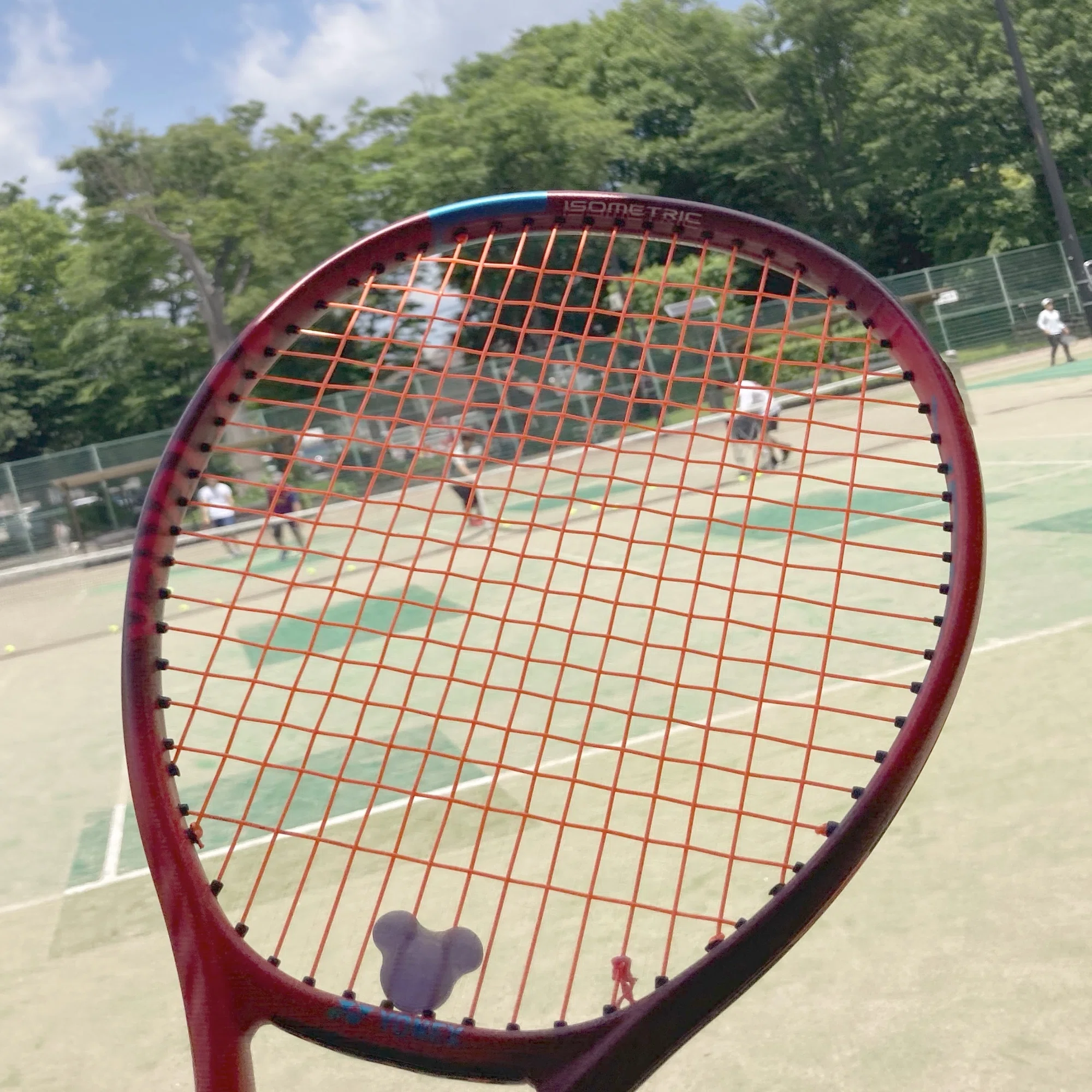 テニス】はじめてのハイブリッド、なかなかいいかんじ 「ガット 
