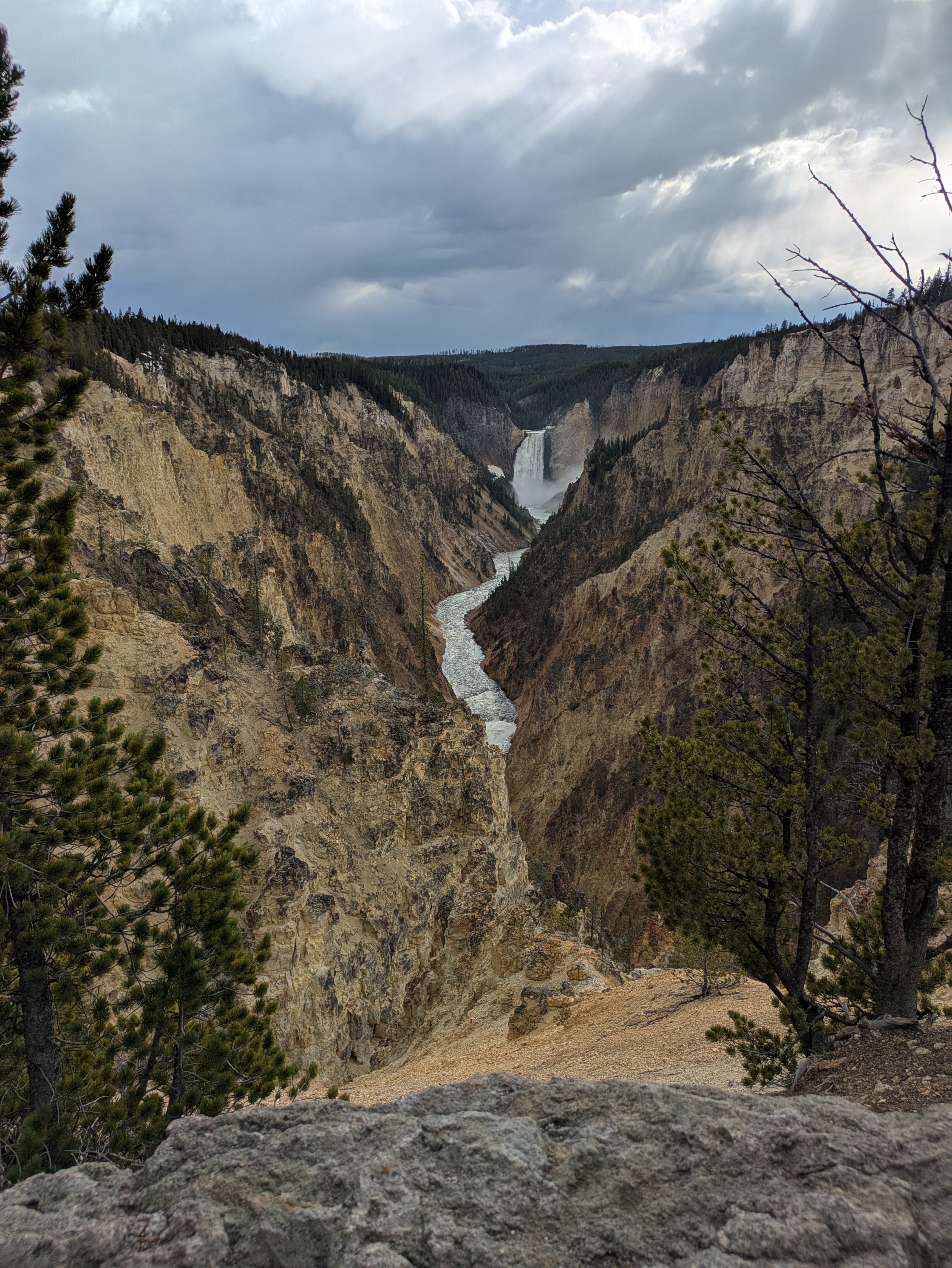 初夏のイエローストーン国立公園｜トシ｜アメリカ駐在員 ロボアド投資