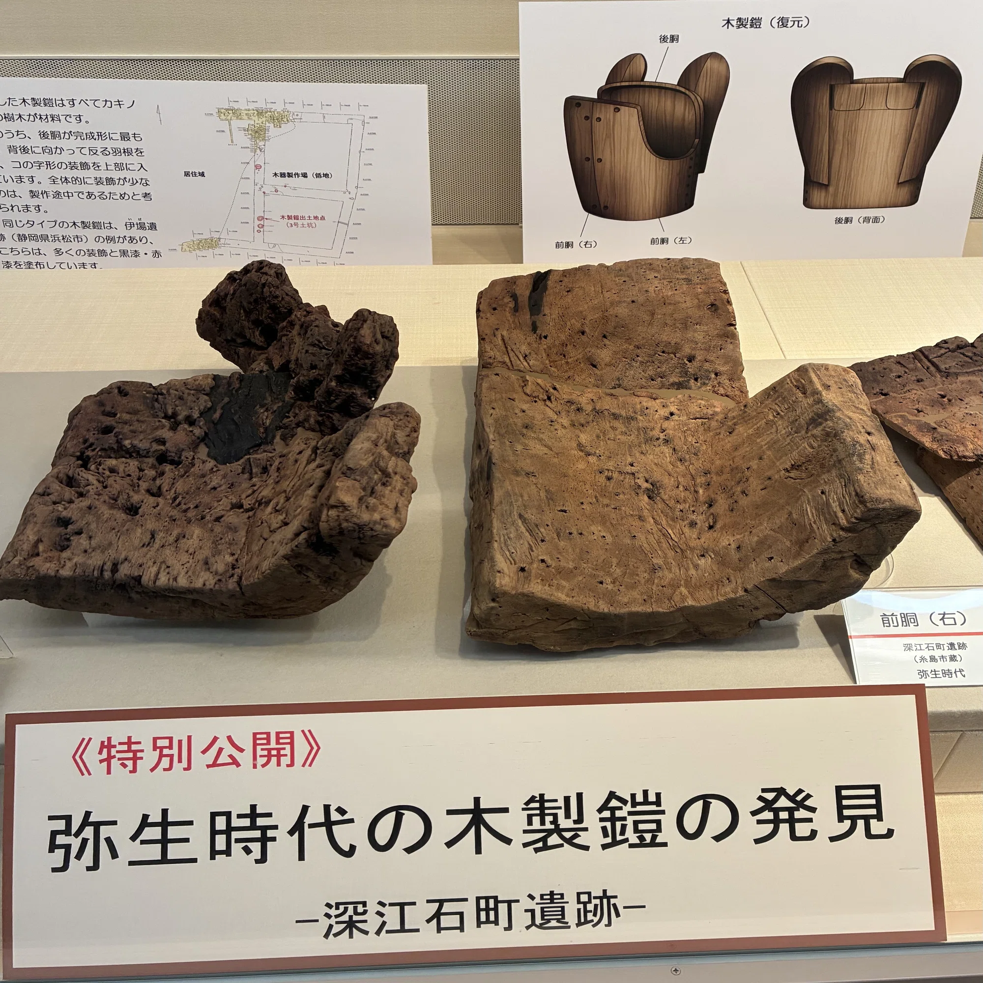 縄文の終焉：「稲作」から「クニ」へ｜bigmole
