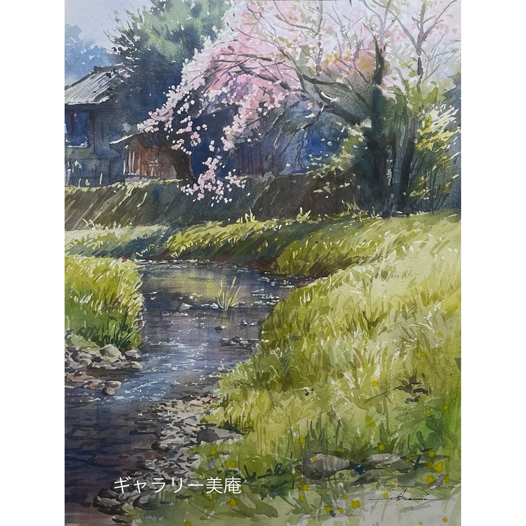 恵みの水💧🌷｜Gallery美庵（びあん）