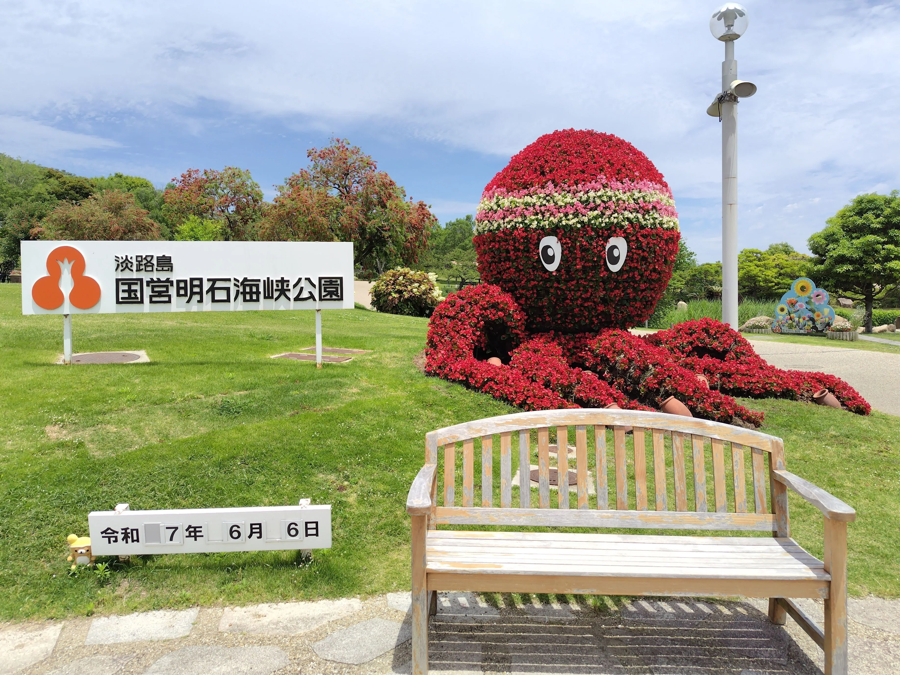 紫陽花と6月の花たち│淡路島国営明石海峡公園2025初夏 その1