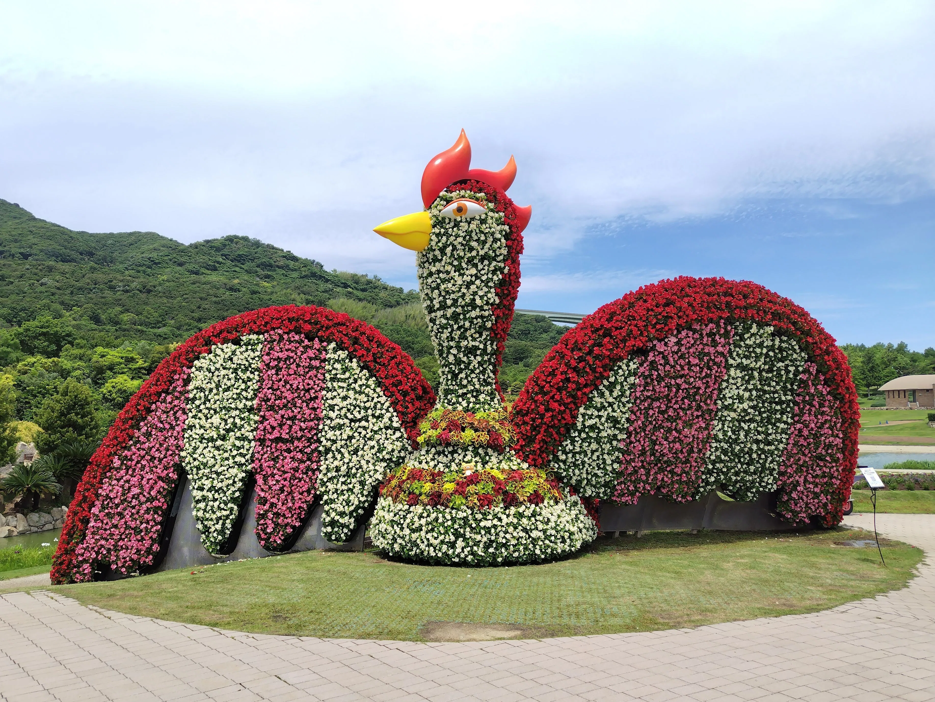 紫陽花と6月の花たち│淡路島国営明石海峡公園2025初夏 その1
