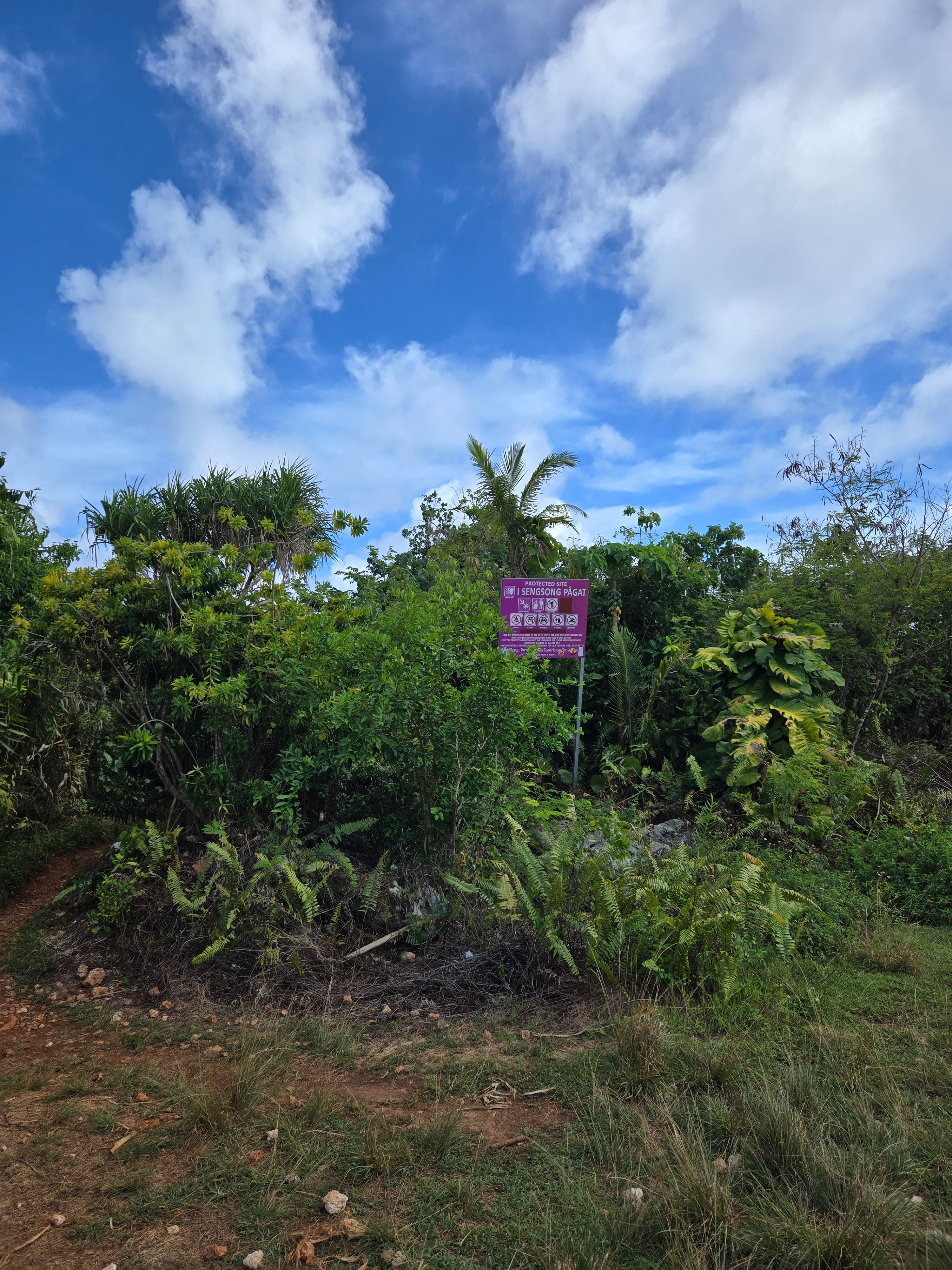 人生初の1人海外旅行で、グアムに行った🇬🇺。③｜加藤