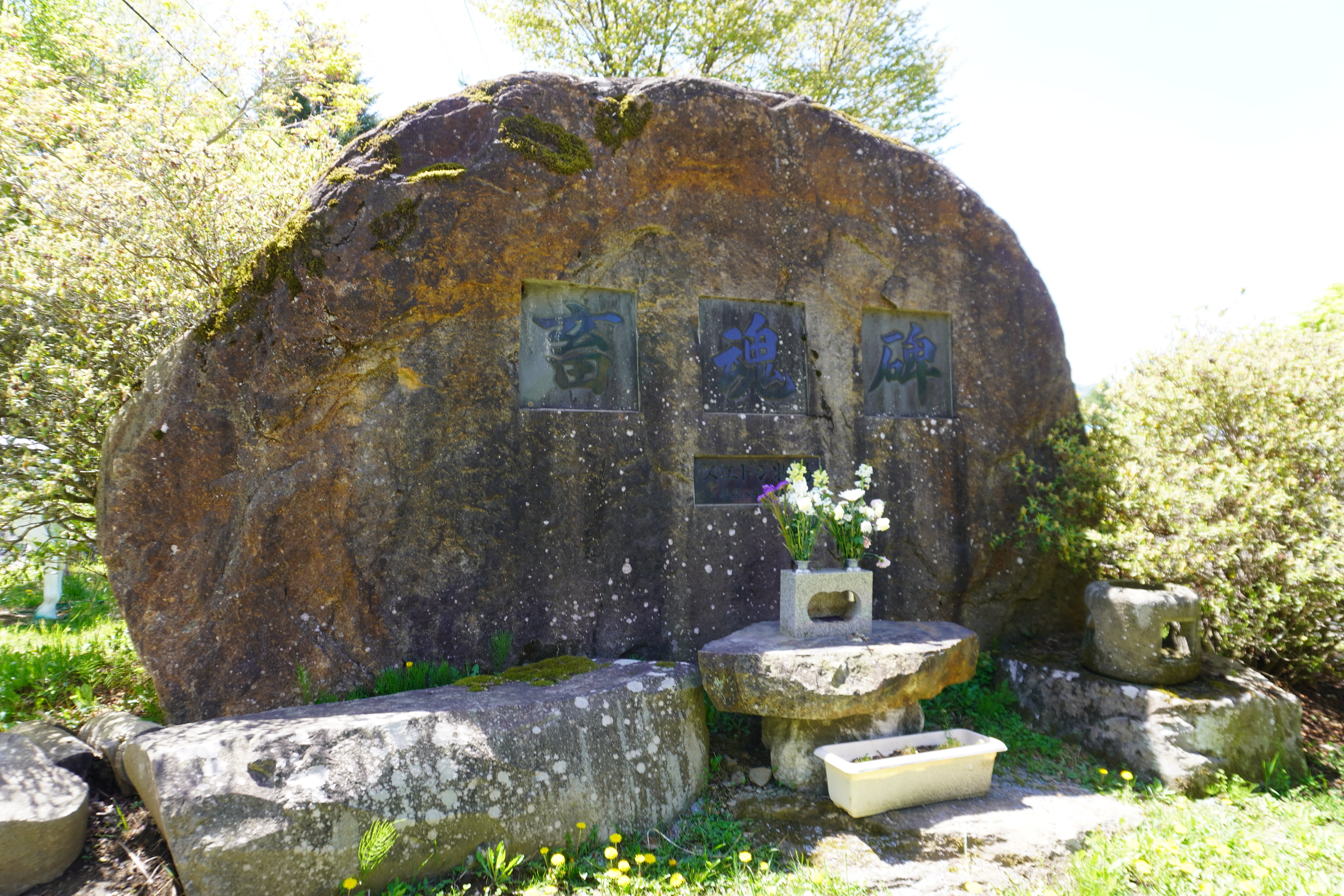 Meadow Road 　牧草地の道 ZASO:267】長野県 #スエトシ牧場｜ZASOちゃんねる