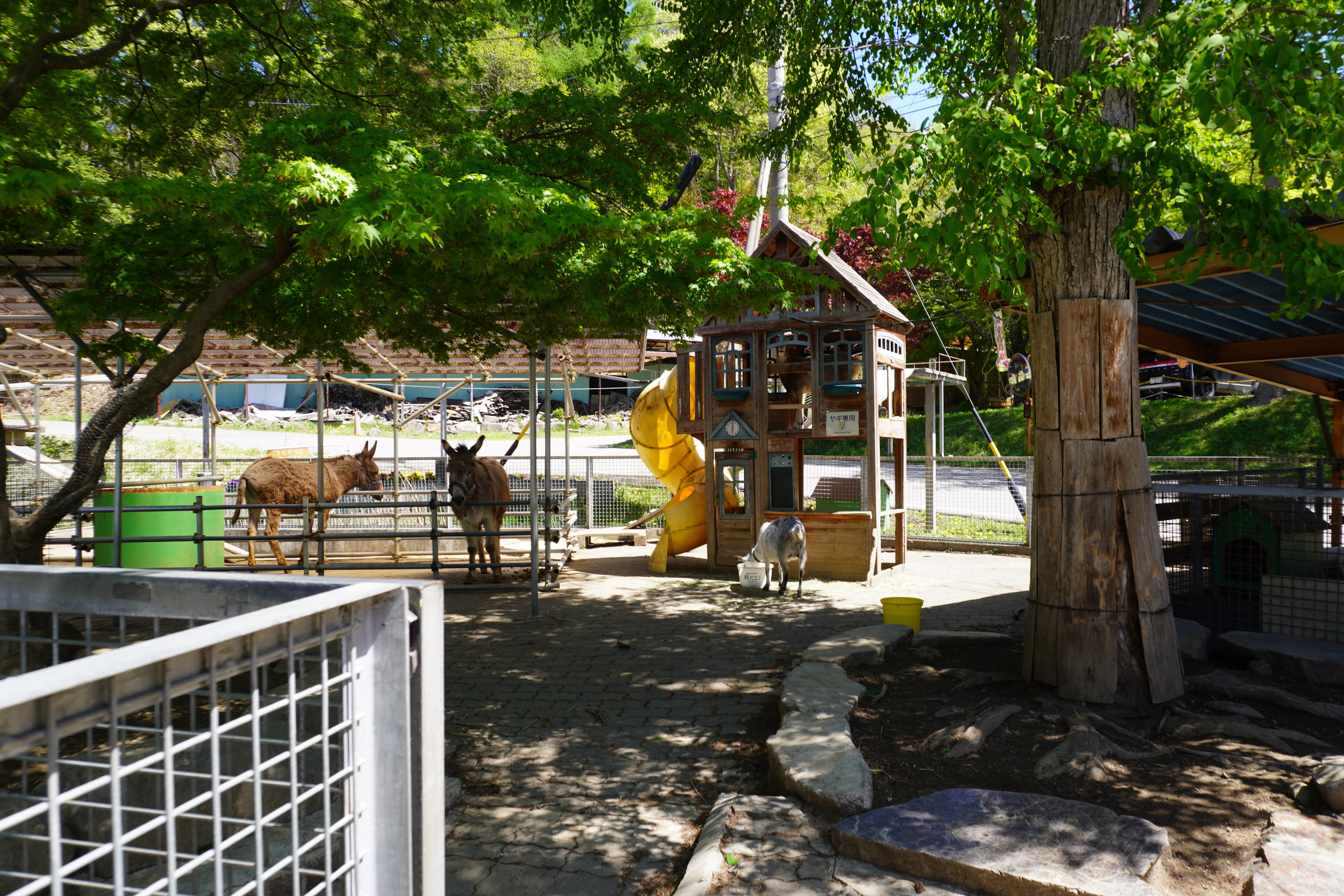 ZASO:267】長野県 #スエトシ牧場｜ZASOちゃんねる