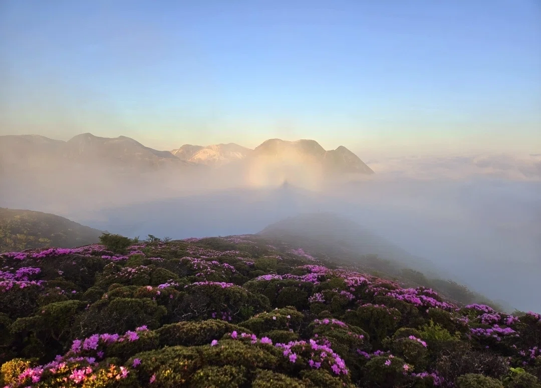 Oita Trip: To the Beyond of Superb Views｜19のままさ