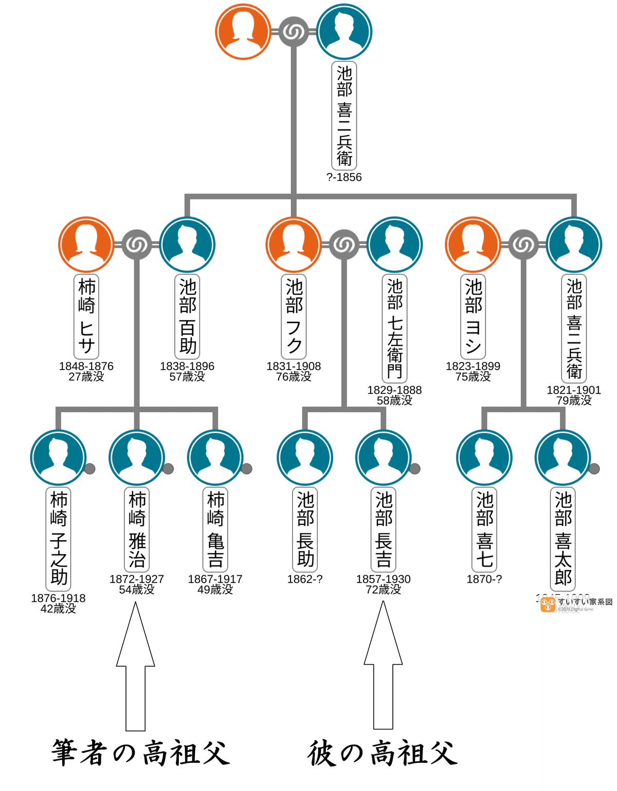 先祖を知れば未来が見える 家系図に秘められた謎に迫る Amazon.co.jp: 先祖を知れば未来が見える: 家系図に秘められた謎