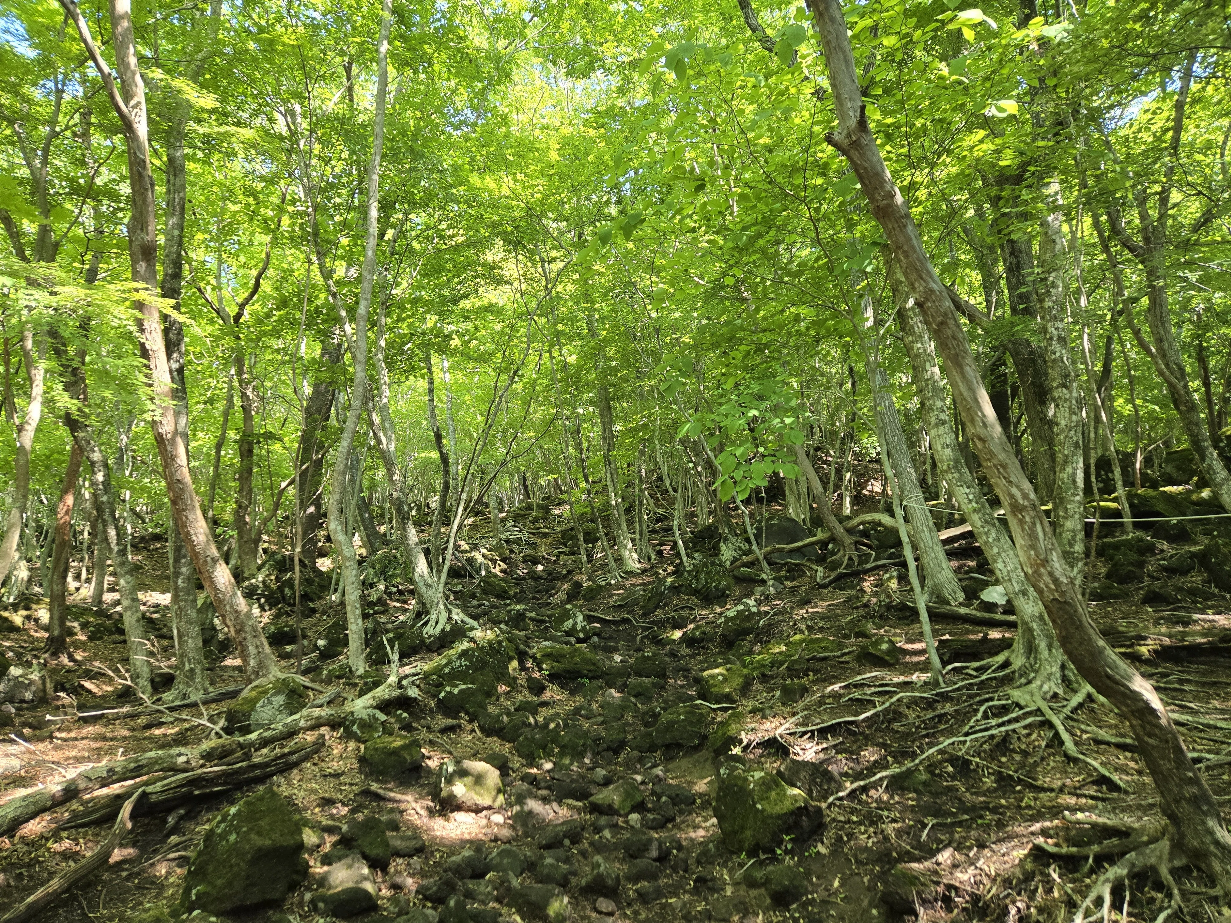 Oita Trip: To the Beyond of Superb Views｜19のままさ