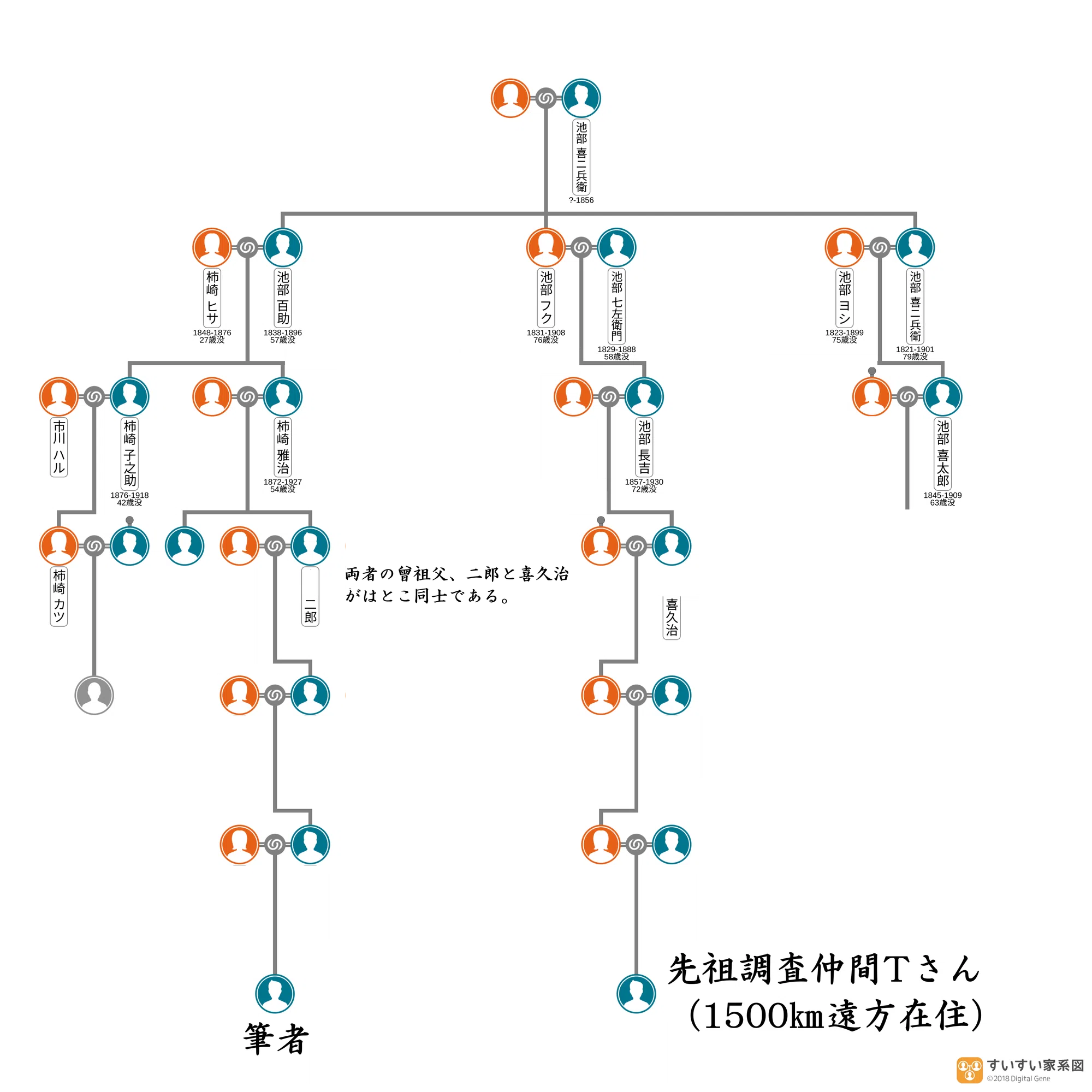 苗字の話—先祖探しの方法 ご先祖調査の方法 | 家系図作成の家樹-Kaju-