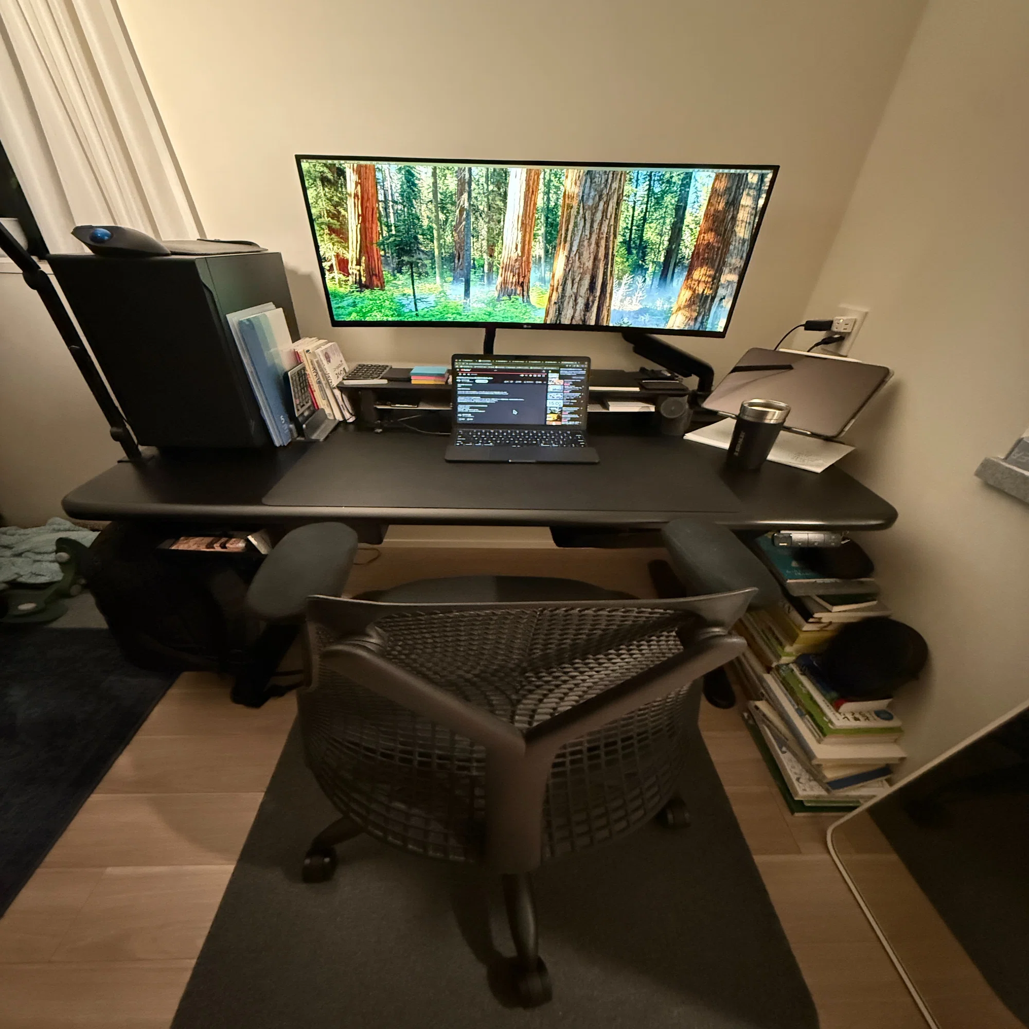 使用レビュー】人生初の昇降式デスク：COFO Desk Premium（140×70×3cm 