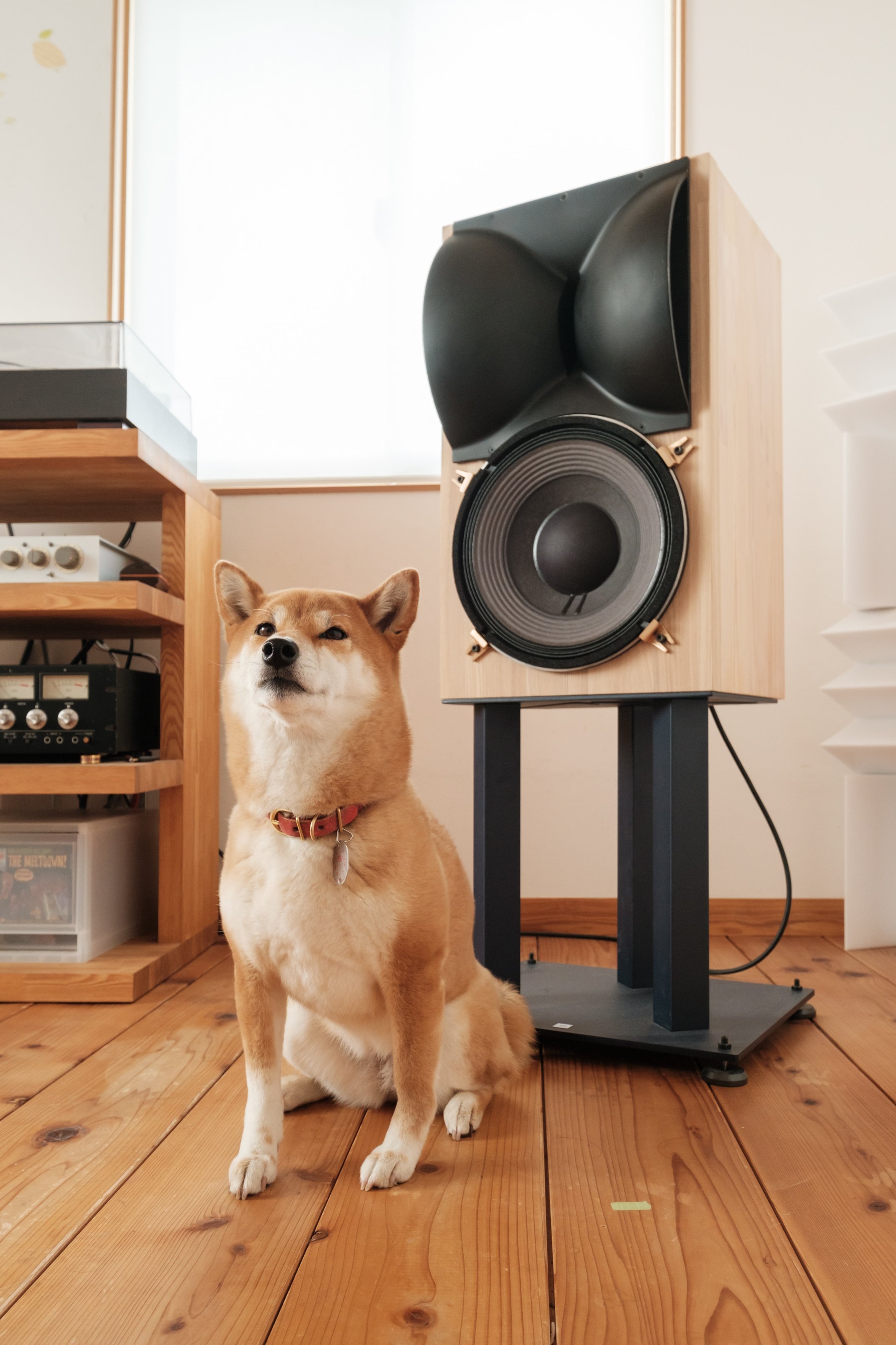 スピーカーの自作。そしてオーディオという趣味｜ROBERTOHOUSE