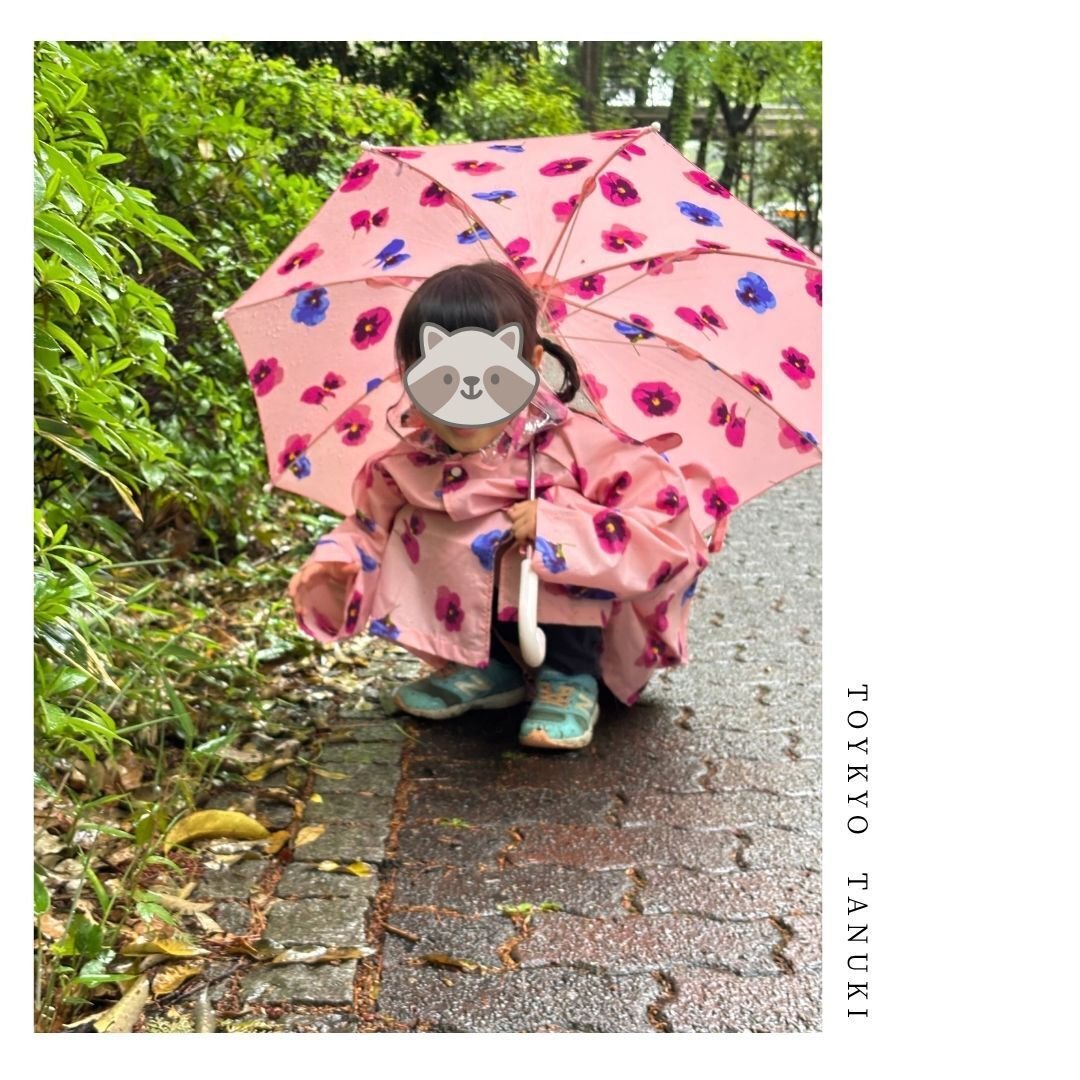 ジブリ 美術館限定 傘 【公式通販】