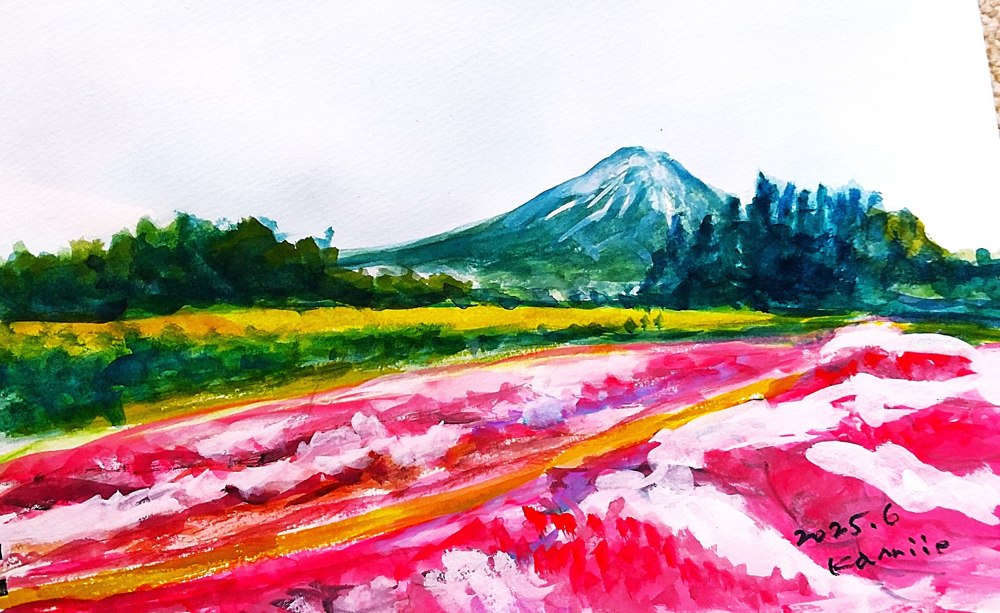 芝桜(倶知安町)｜北海道の熊おやじ〜北海道の179市町村の歴史と観光