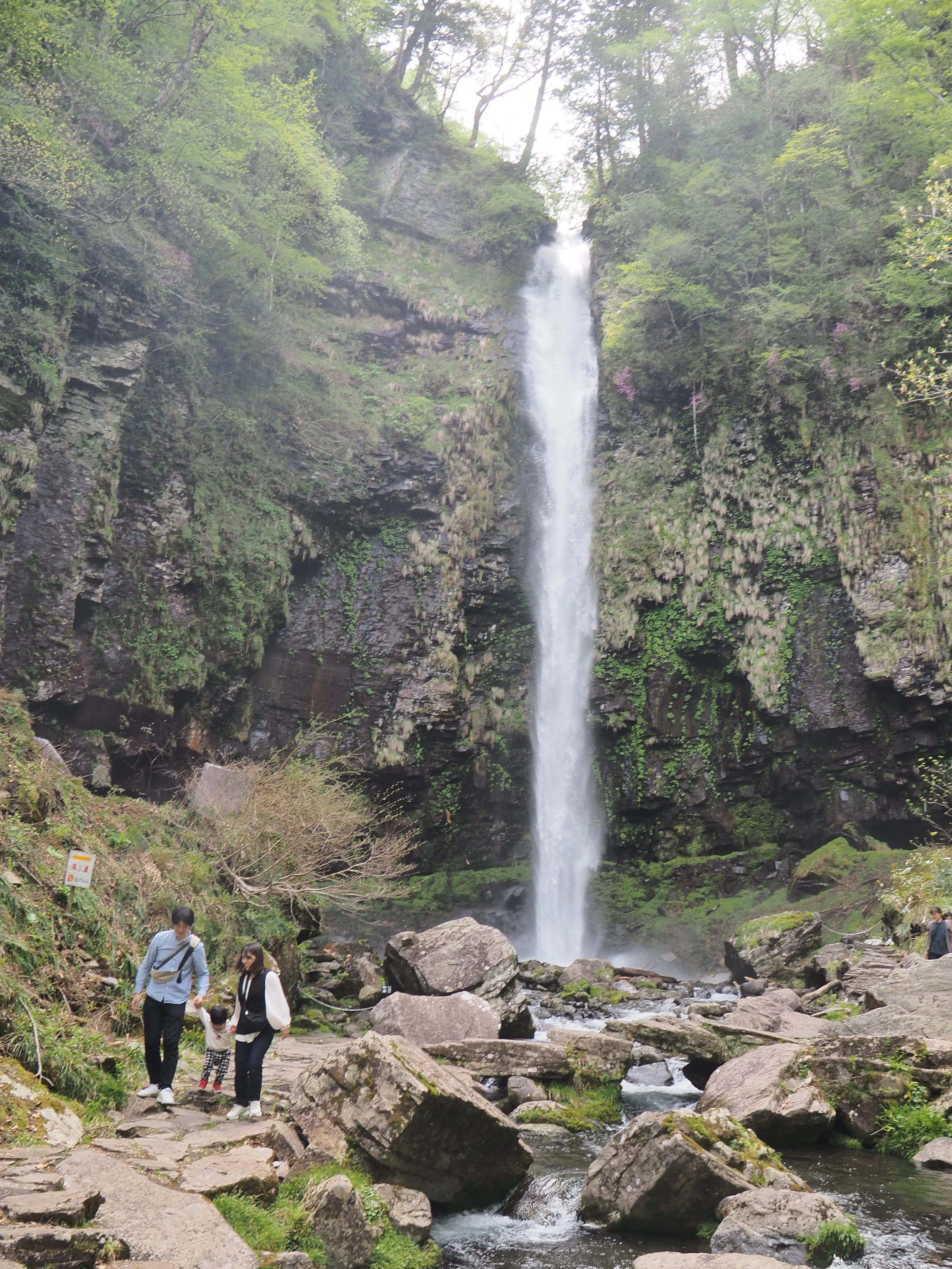 郡上白鳥の「阿弥陀ケ滝」白山信仰の霊場で涼む｜中山道雄