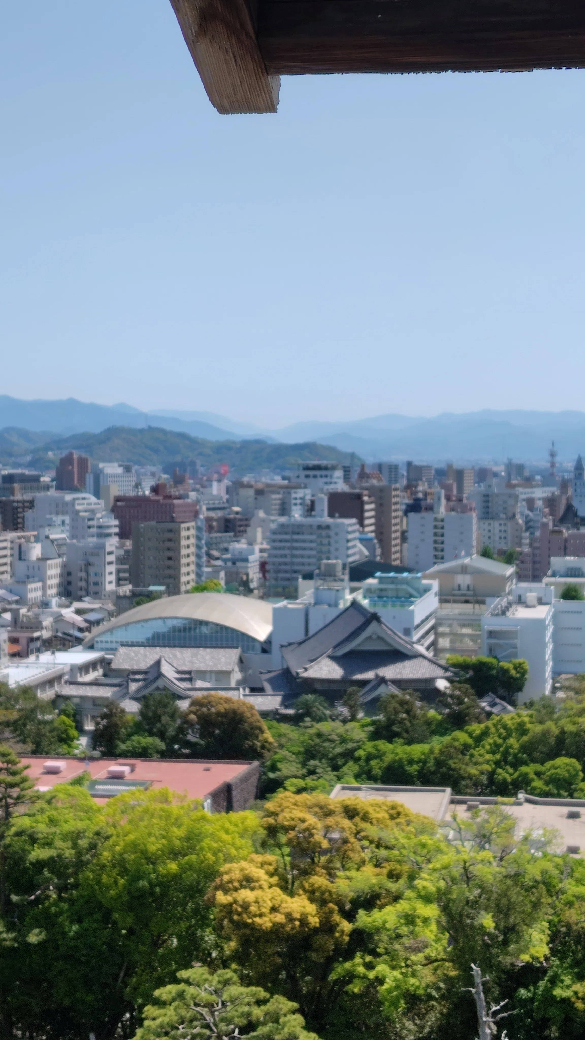 高知旅】とさでん・高知城｜かずラ＠文学フリマ大阪14う-40