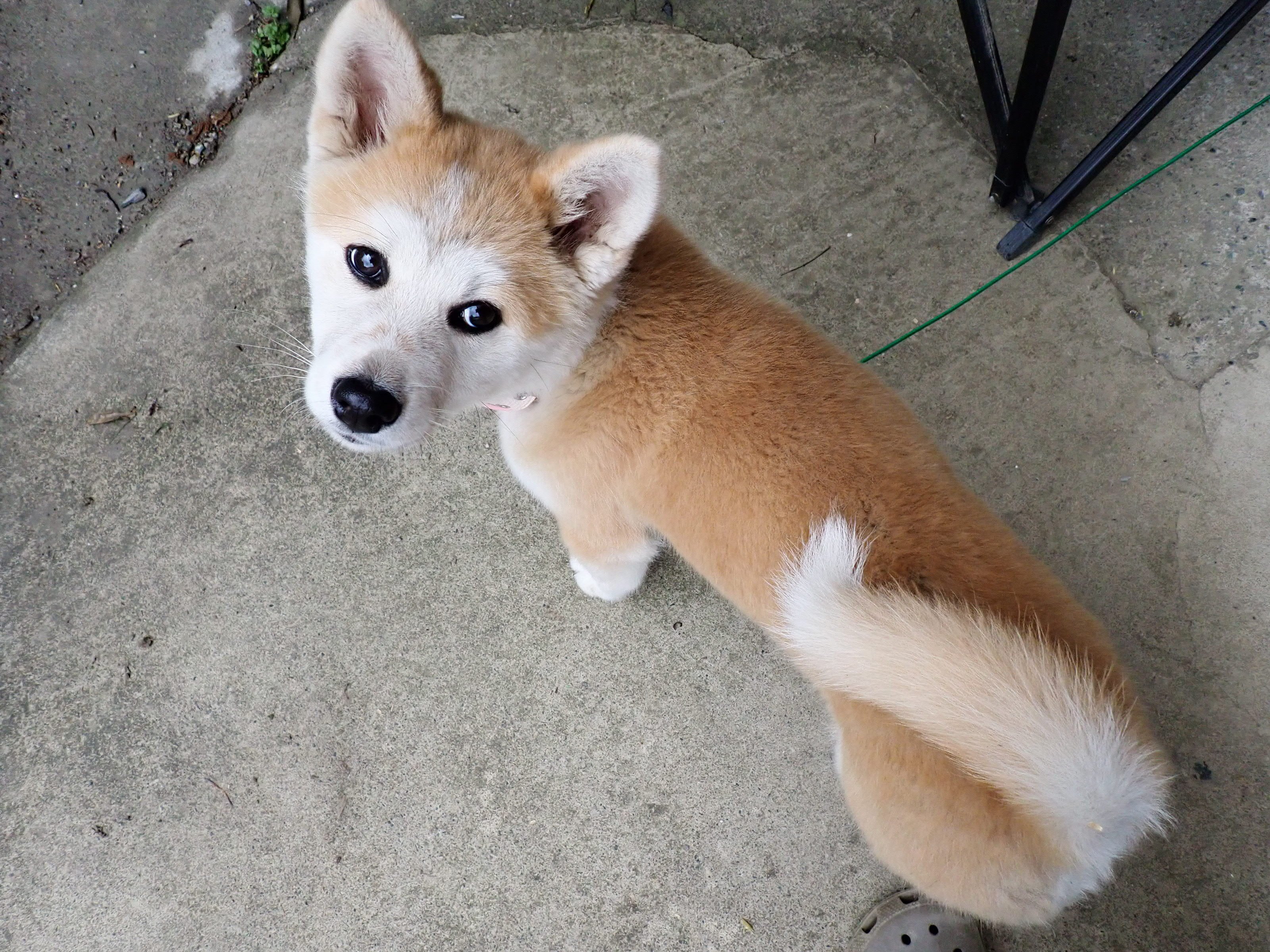 中国 （貴州・雲南省） ほぼ無計画旅行 ①出発までのあれこれ｜伊藤ミサ