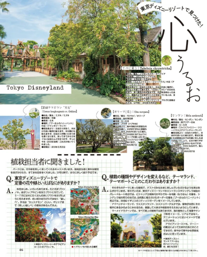 一冊に詰まったディズニー愛！『ディズニーファン』がすごすぎる
