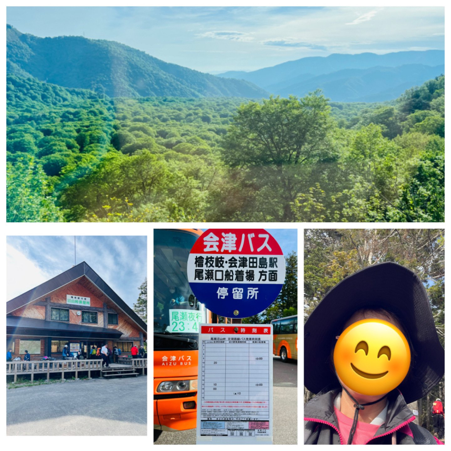 尾瀬の水芭蕉 2025一人旅〜尾瀬沼巡り〜｜ミント