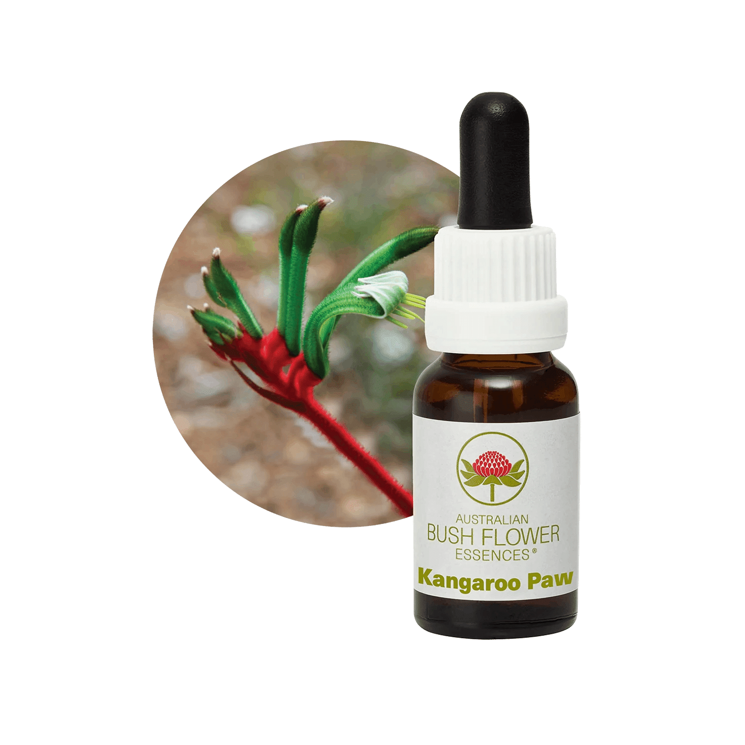 チュジニア館で出会った香り｜Hiro Natural Therapy