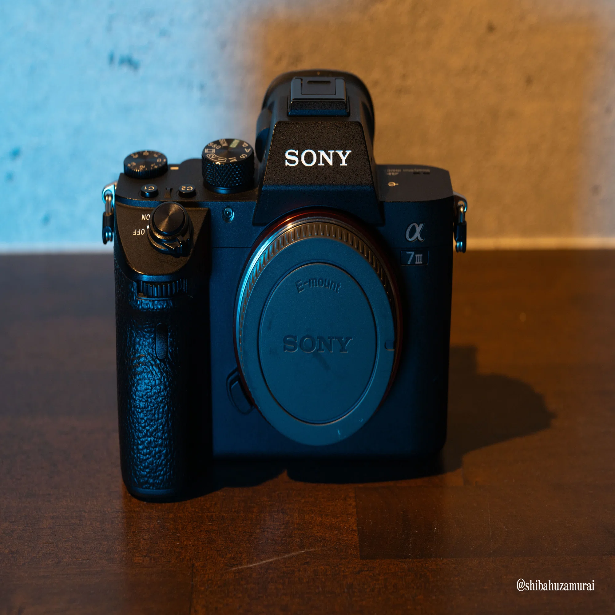 SONY α7R Ⅴ｜芝生侍