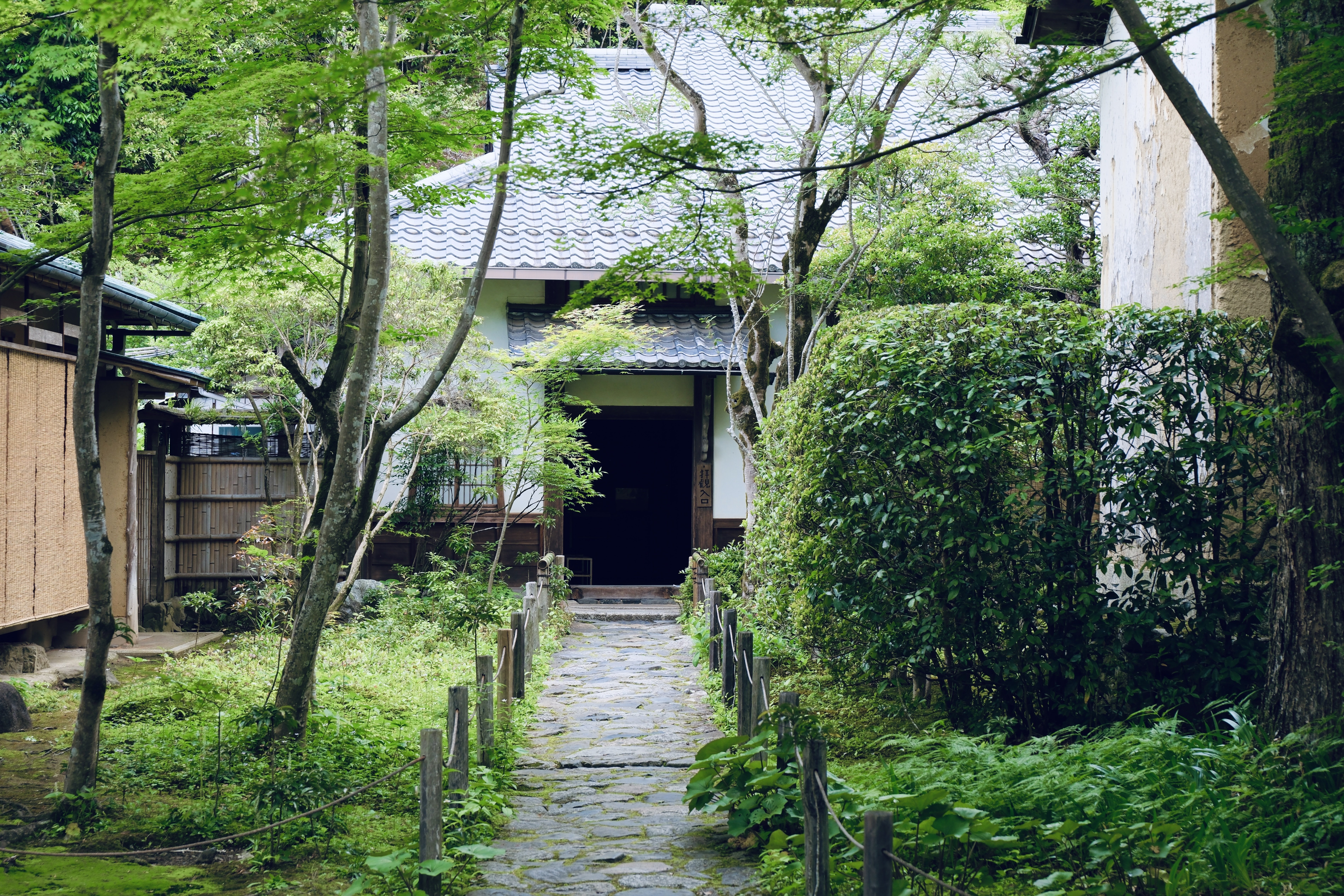 原画 油絵 京都 蓮華寺 330px-PB230890_2008Nov23.jpg