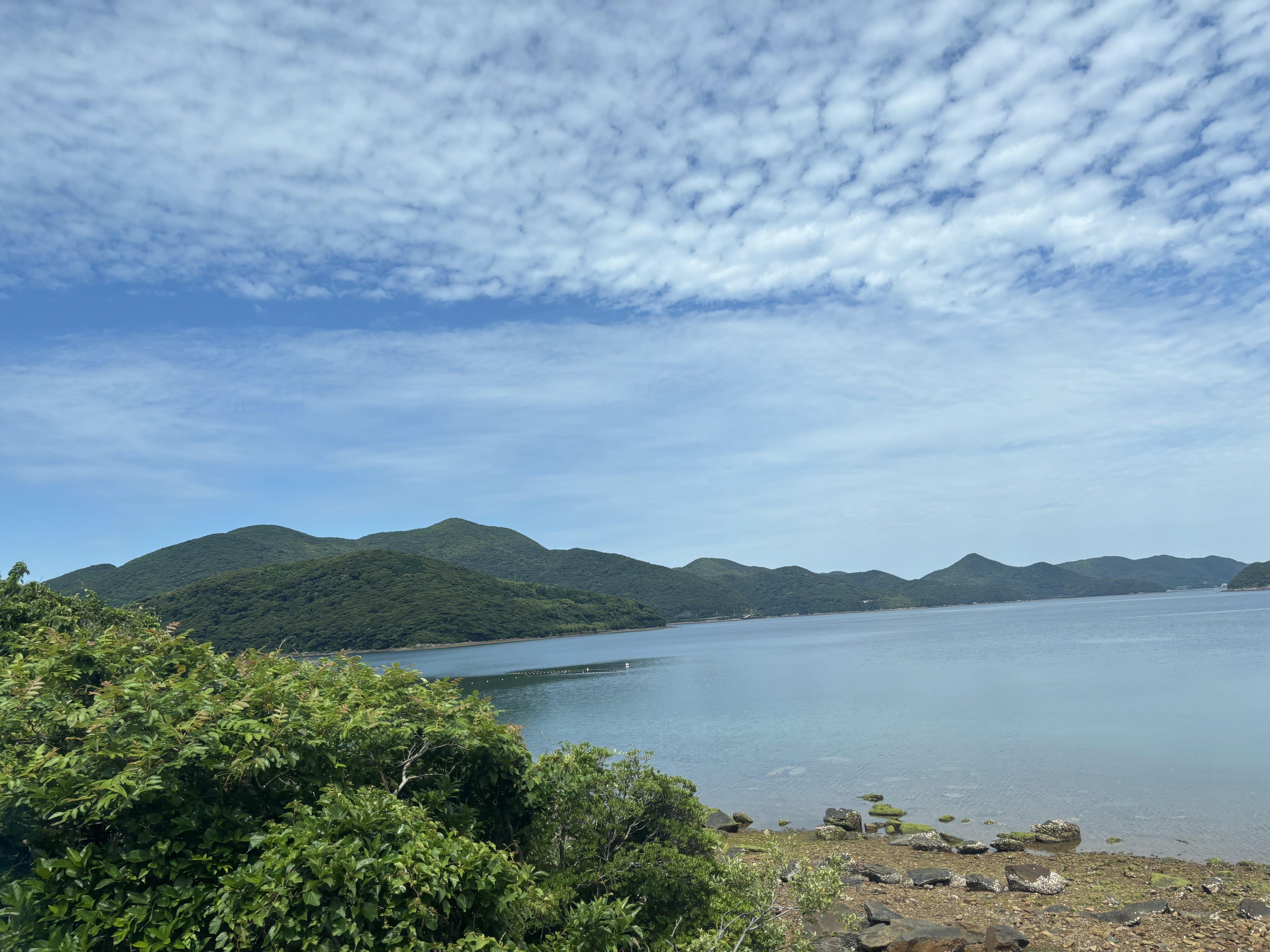 メル79711さま♡専用 五島列島 福江島への旅 vol.4 福江島1日観光ツアー編｜あらかわ