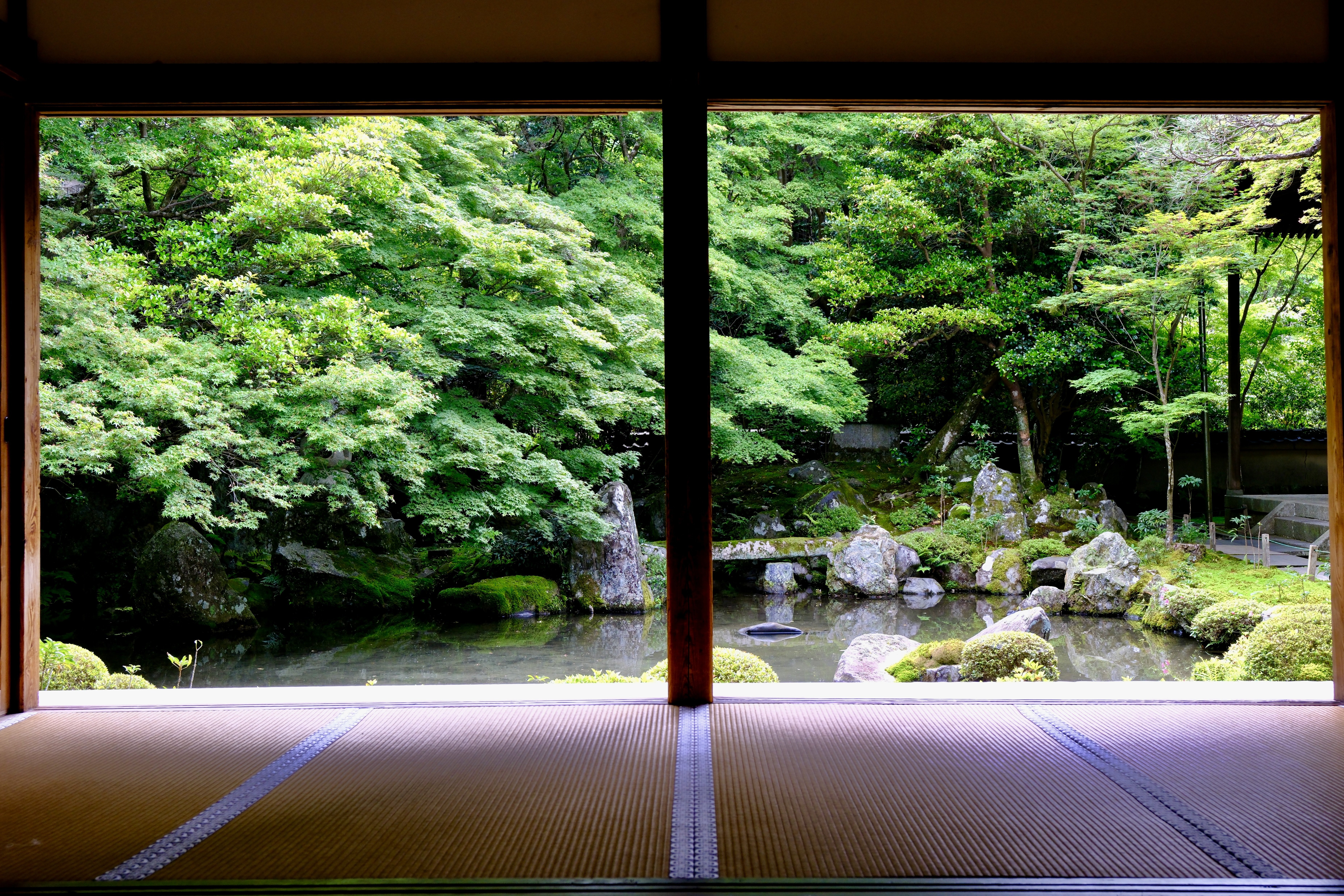 ただ静けさに、自分の時間を取り戻す場所｜京都・蓮華寺｜あをそめ.