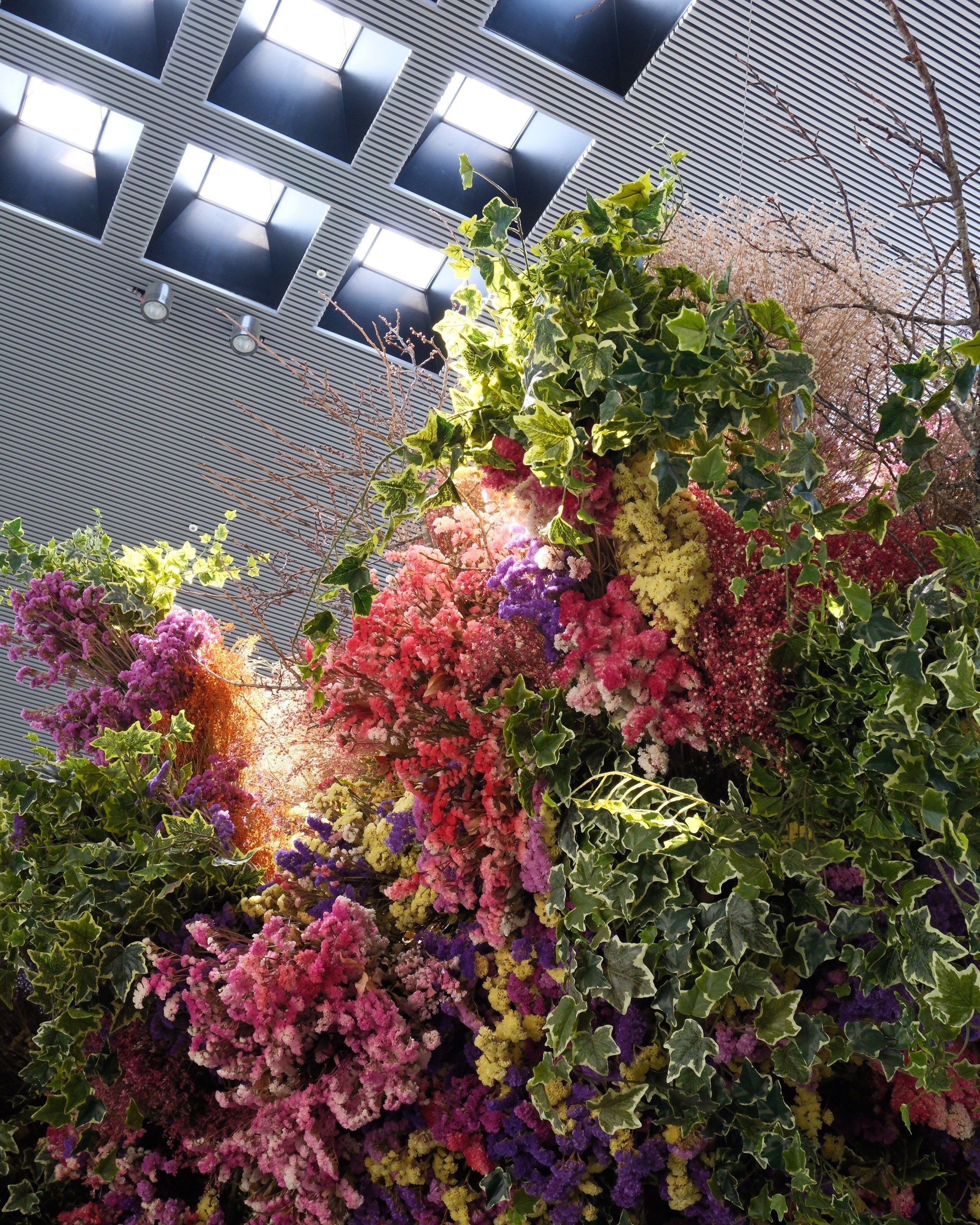 1/リニューアルされた千葉市花の美術館『BOTANICA MUSEUM』｜にーこ