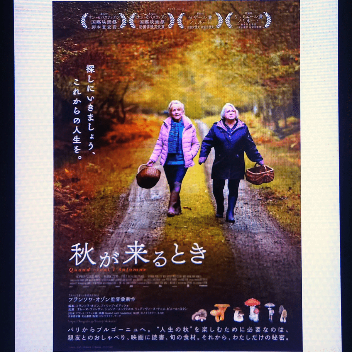 フランソワ・オゾン最新作・映画『秋が来るとき』2024年5月30日