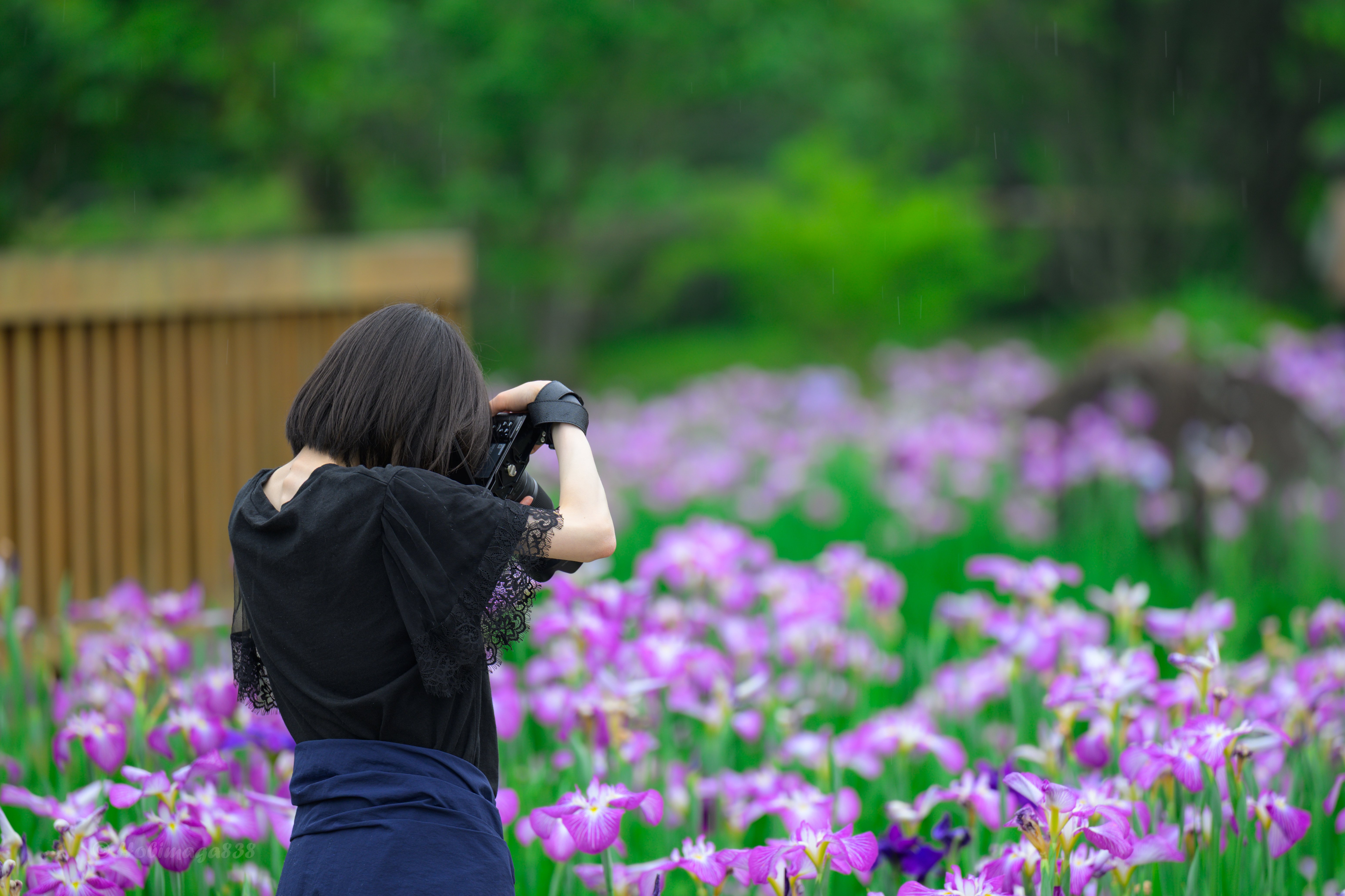 家族で色んなカメラを使って写真を楽しむ｜ほびマガ