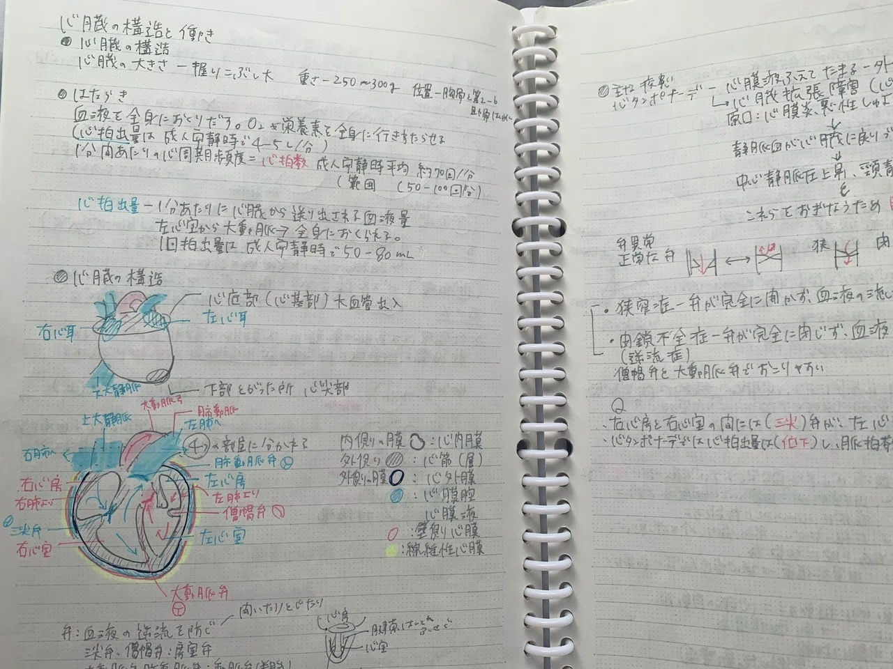 管理栄養士国家試験38回落ち、39回リベンジで受かった話【前編】｜夏目