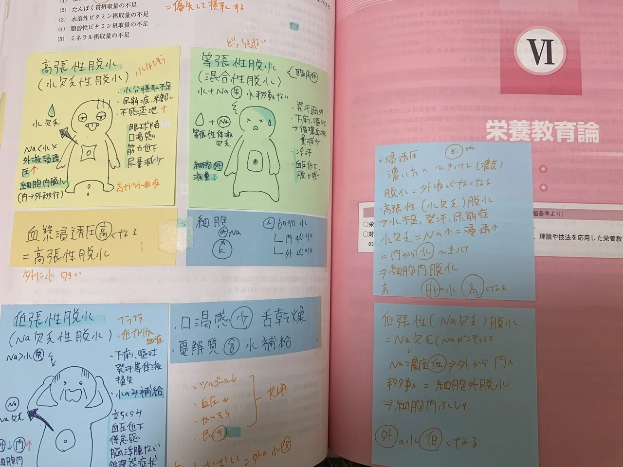 管理栄養士国家試験38回落ち、39回リベンジで受かった話【前編】｜夏目
