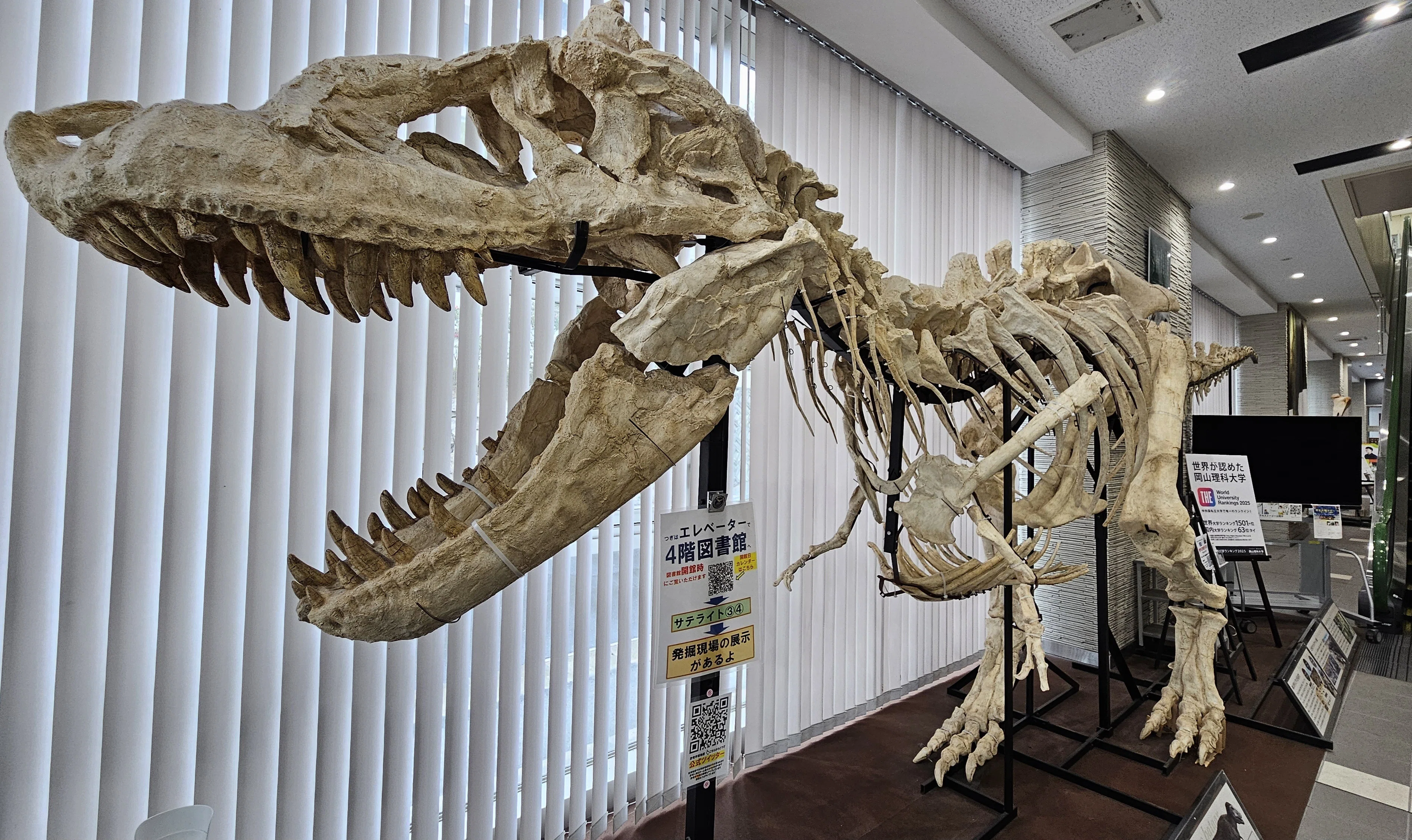 全国自然博物館の旅【63】岡山理科大学恐竜学博物館｜美原さつき