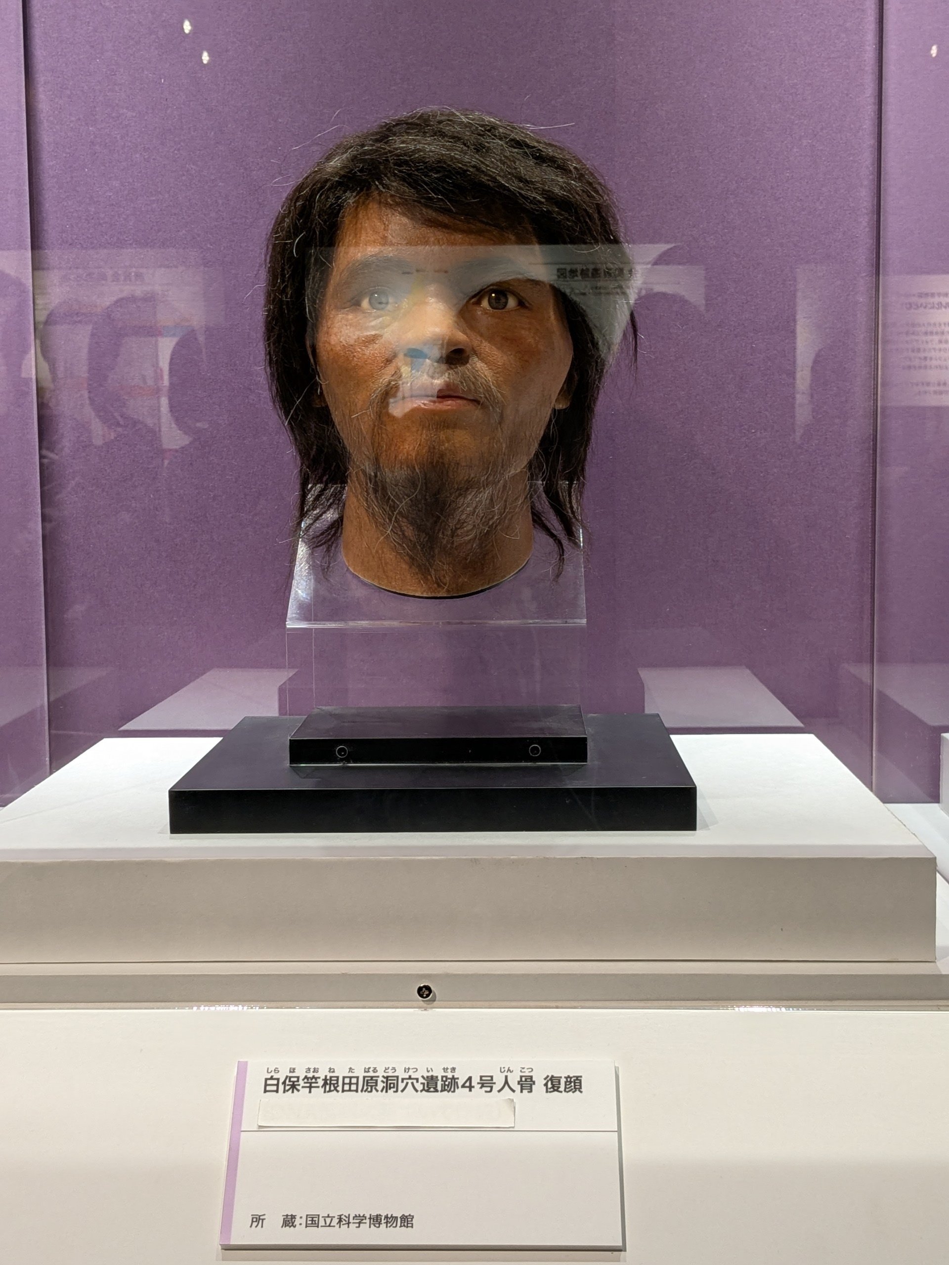 新たな発見に満ちた「古代DNA」展｜水上伊織