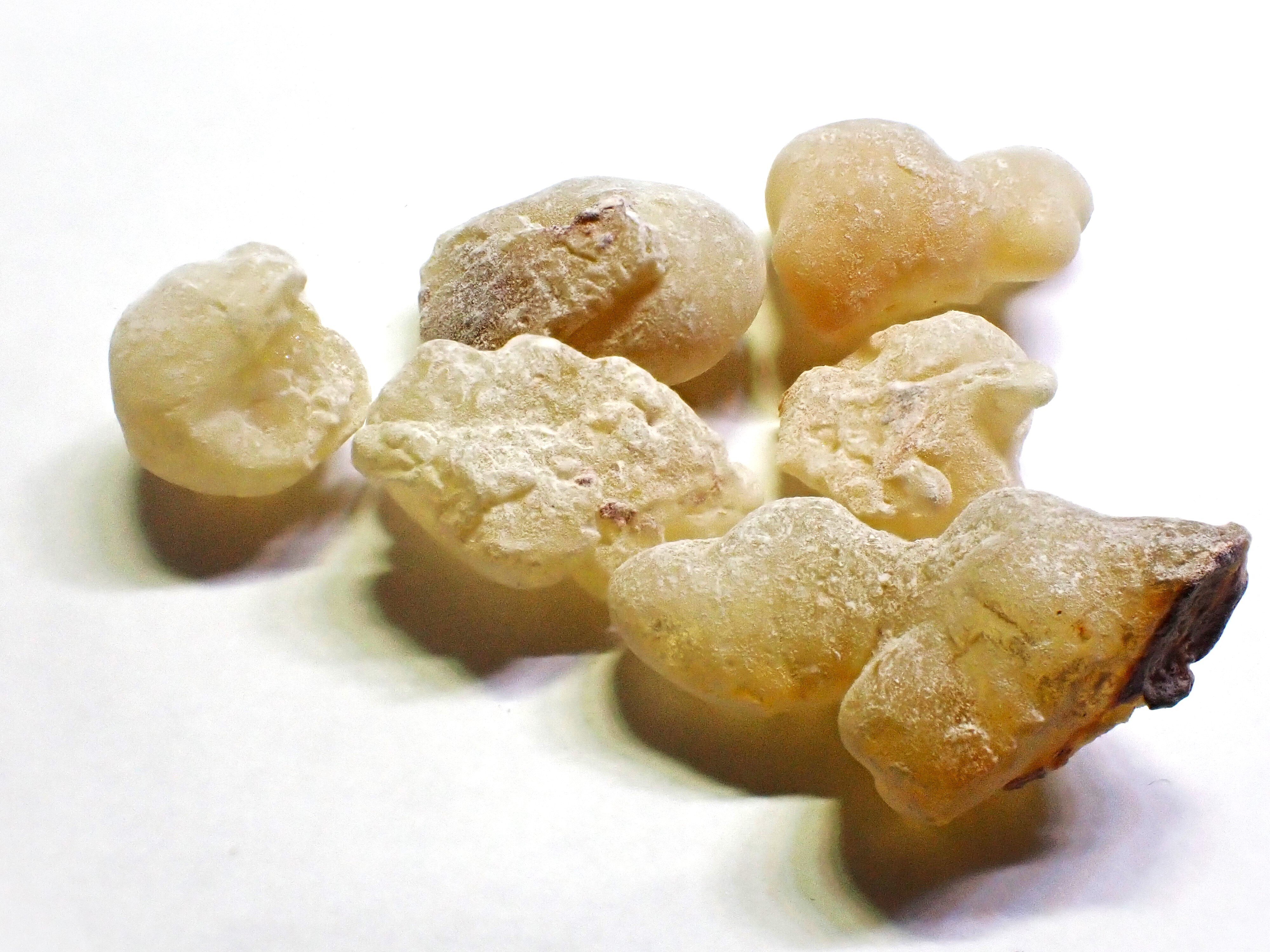 ボスウェリアを語るならまずこれ読むべし｜pseudobotanistoides