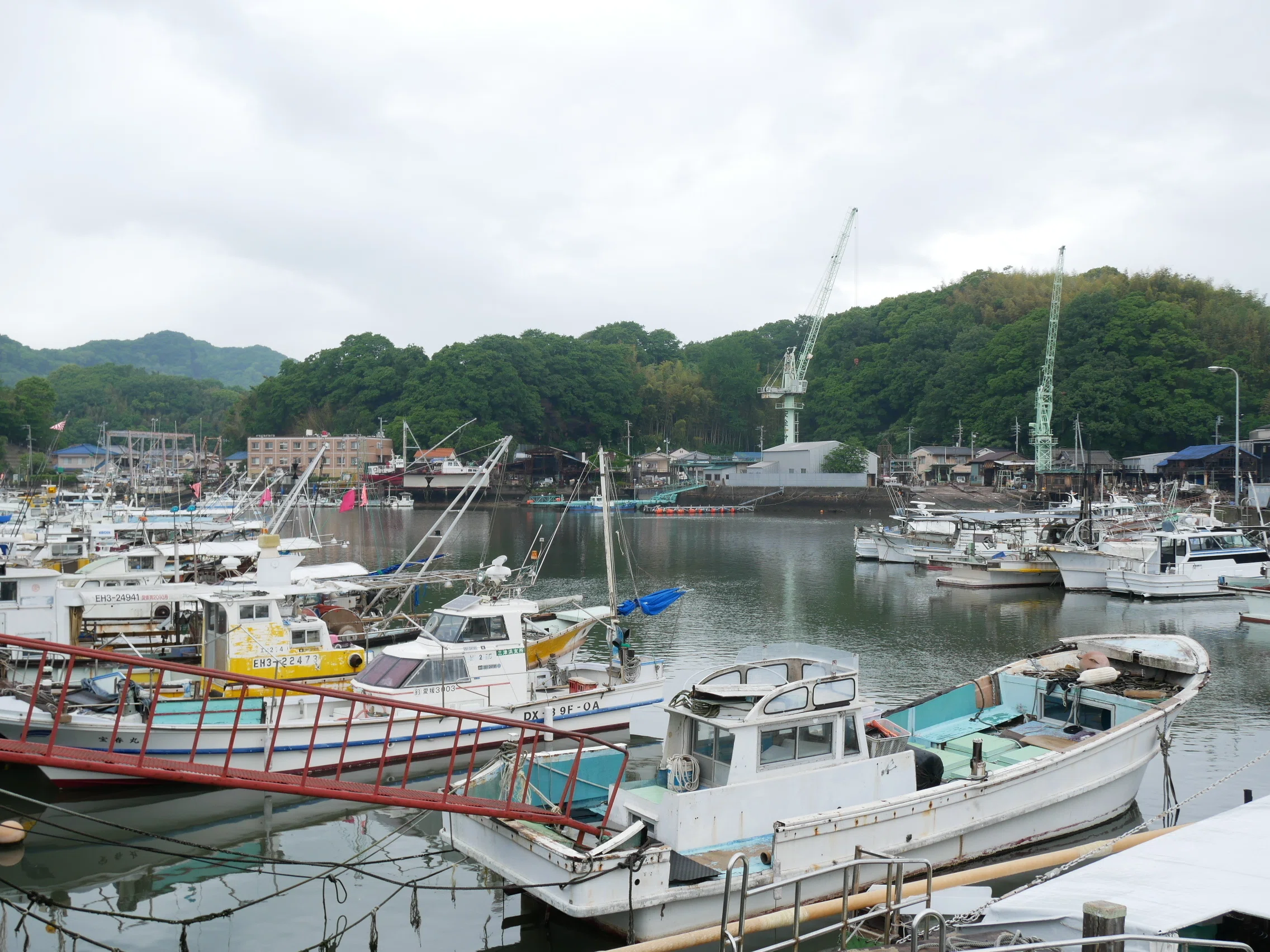 586 古きと新しきが融合するレトロな町・松山市三津浜を歩く。｜揺蕩う