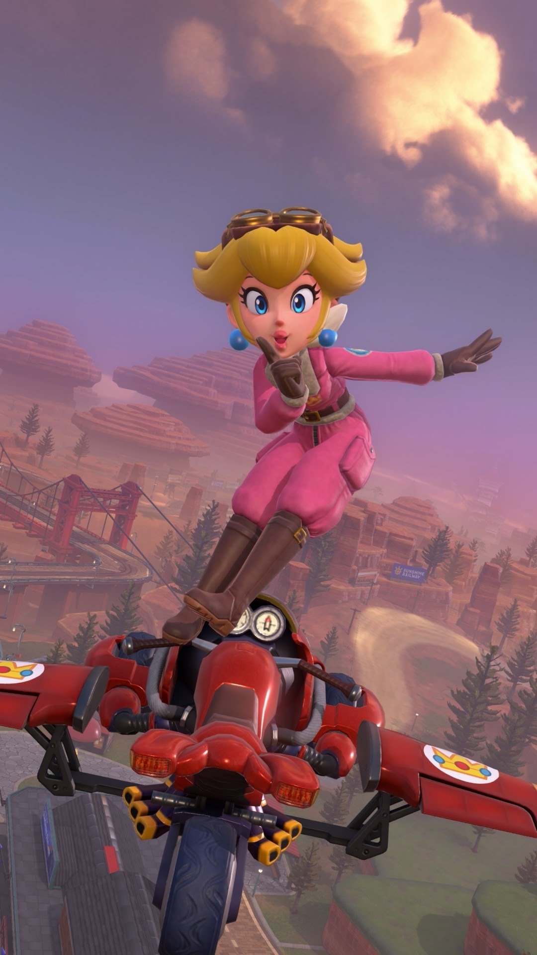 ピーチ姫写真集｜マリオカートワールド｜お茶缶