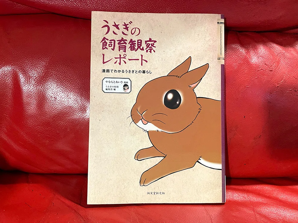 うさぎのかわいさを再認識できる本…もっとうさぎが愛おしくなること うさぎのかわいさを再認識できる本…もっとうさぎが愛おしくなること