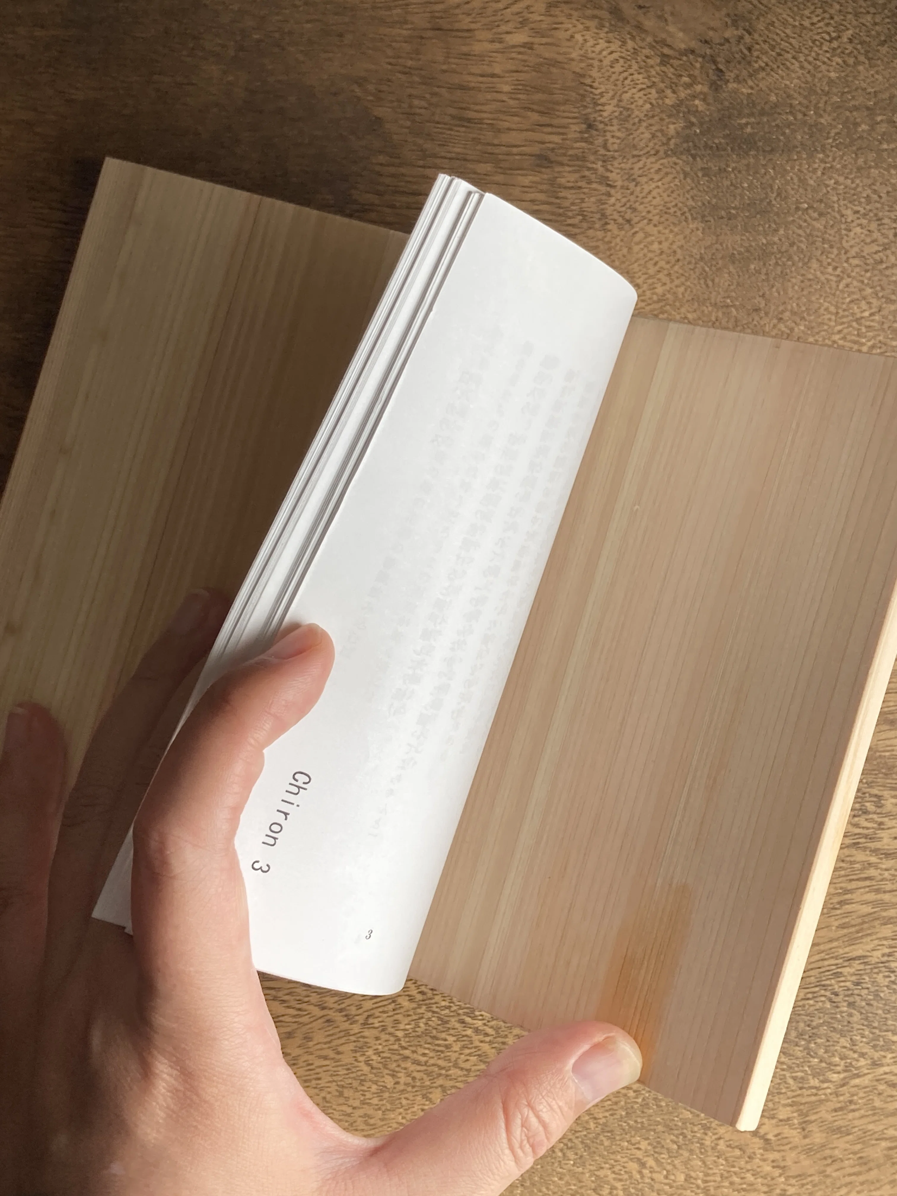 はじめてのZINEフェス東京で出会った本4冊の感想。｜福永 実世 | 文学