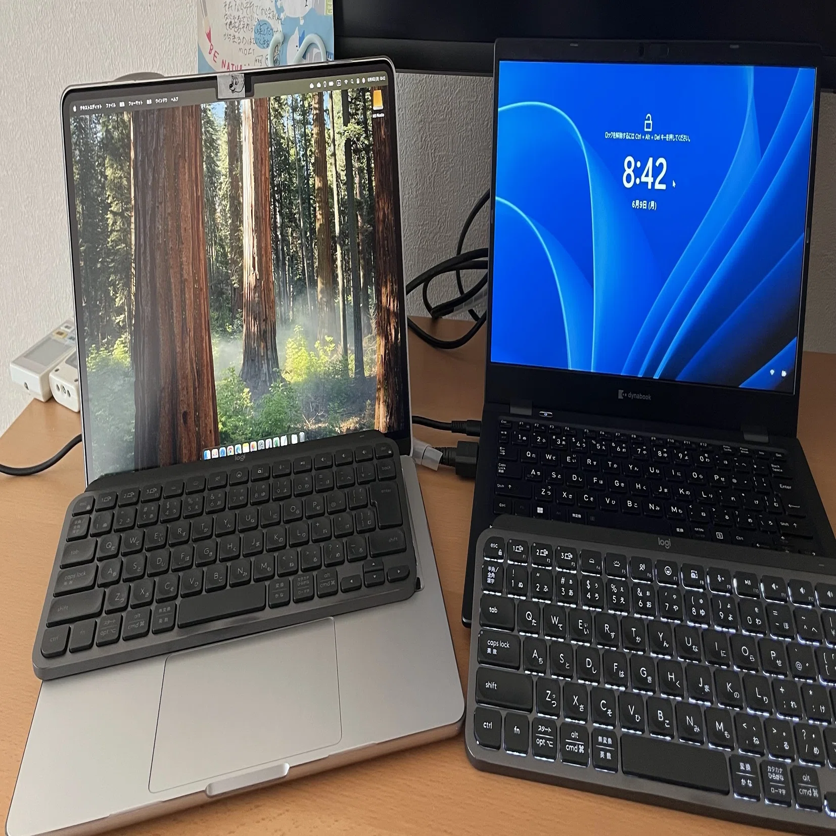 MacでもWindowsでも指迷わず！】Logicool MX KEYS mini (for Macじゃ 