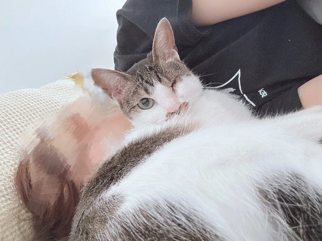 我が家の片目保護ねこちゃんのねこみ2、3回目のバースデ〜〜ᵔᢦᵔ