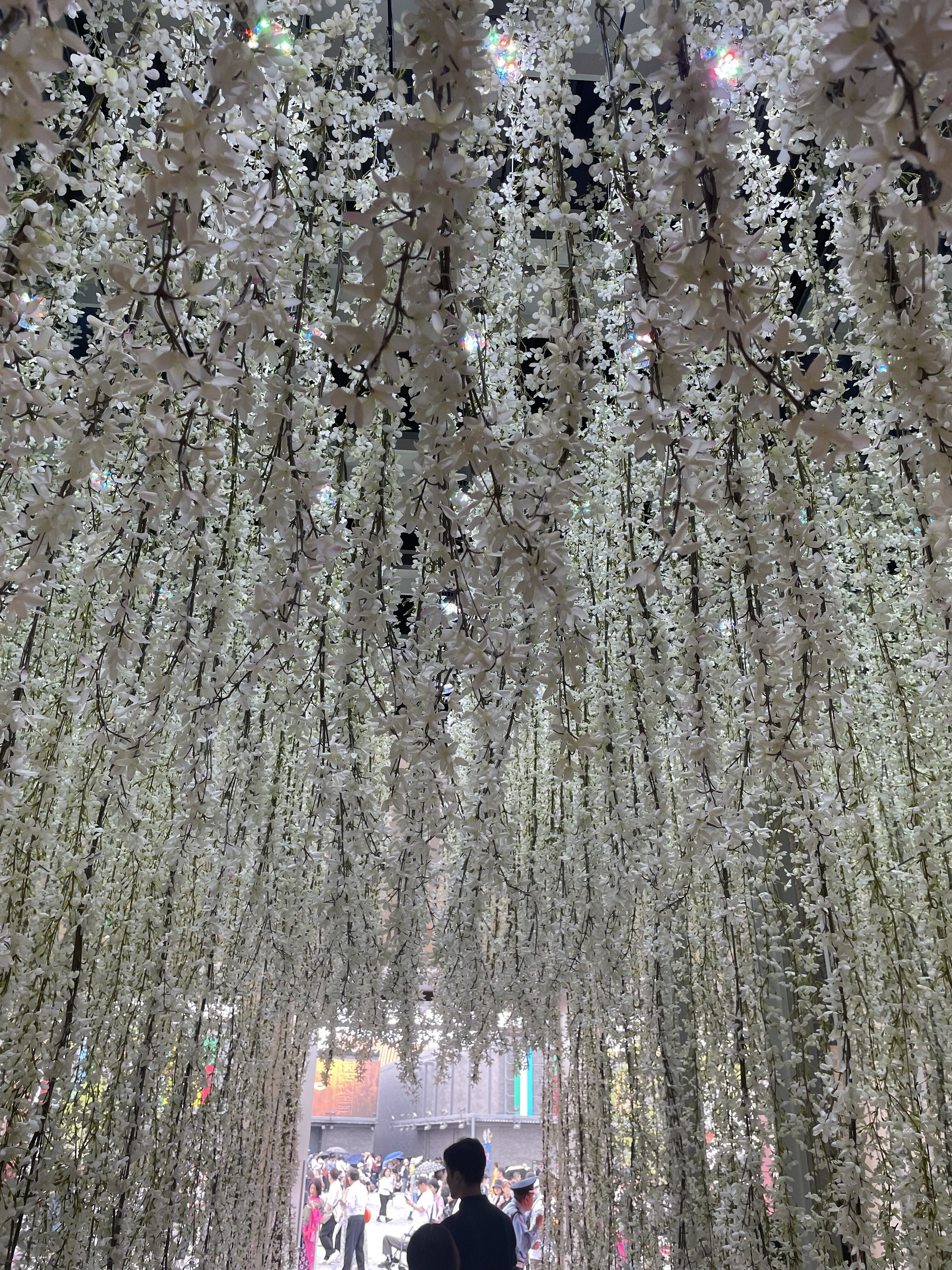 EXPO レポ '香りの存在感'｜Hiro Natural Therapy