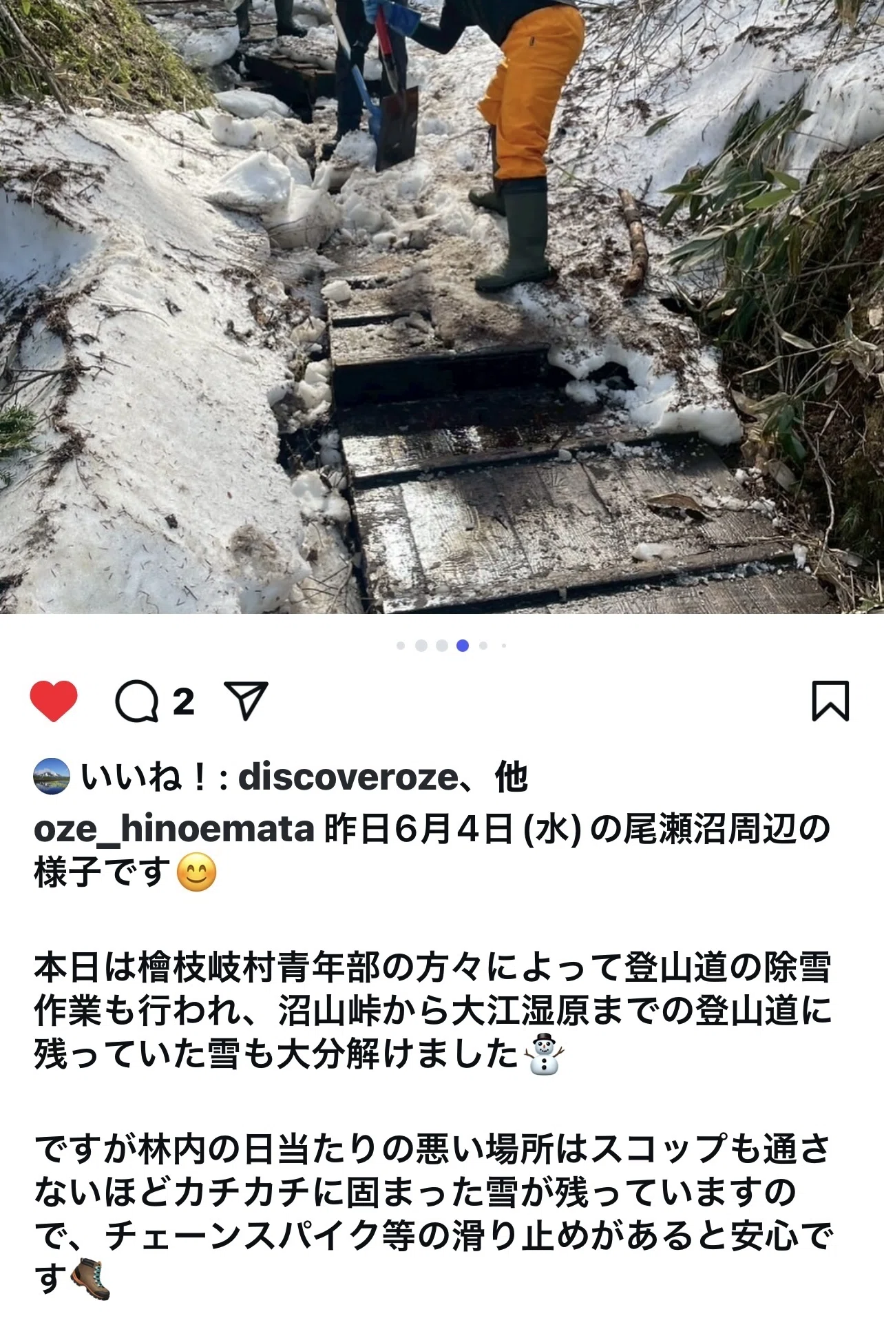 尾瀬の水芭蕉 2025一人旅〜尾瀬沼巡り〜｜ミント