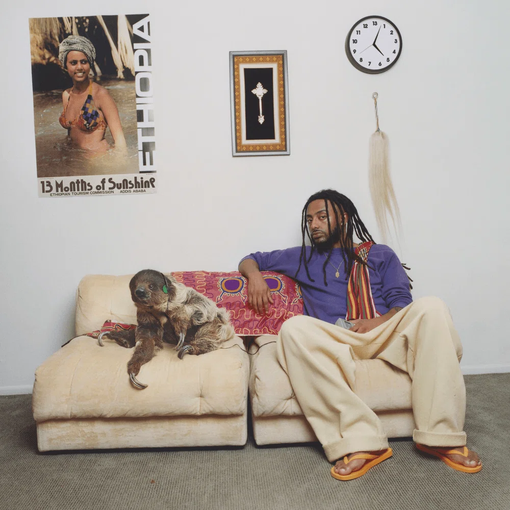 2025年、聴くべきアルバムはこれだ。Aminé『13 Months of Sunshine』が