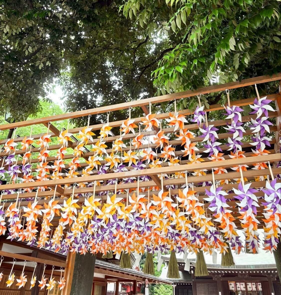 四季の彩りを楽しむ・夏－縁むすび風鈴・風車－｜川越氷川神社