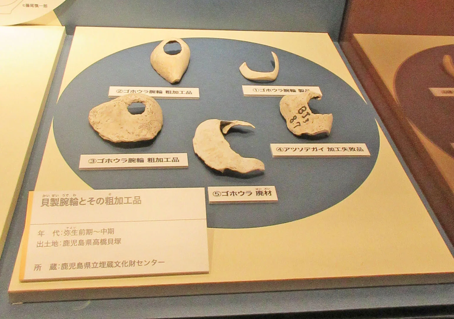 第5章 南の島の人々：特別展「古代DNA－日本人のきた道－」見聞録 その