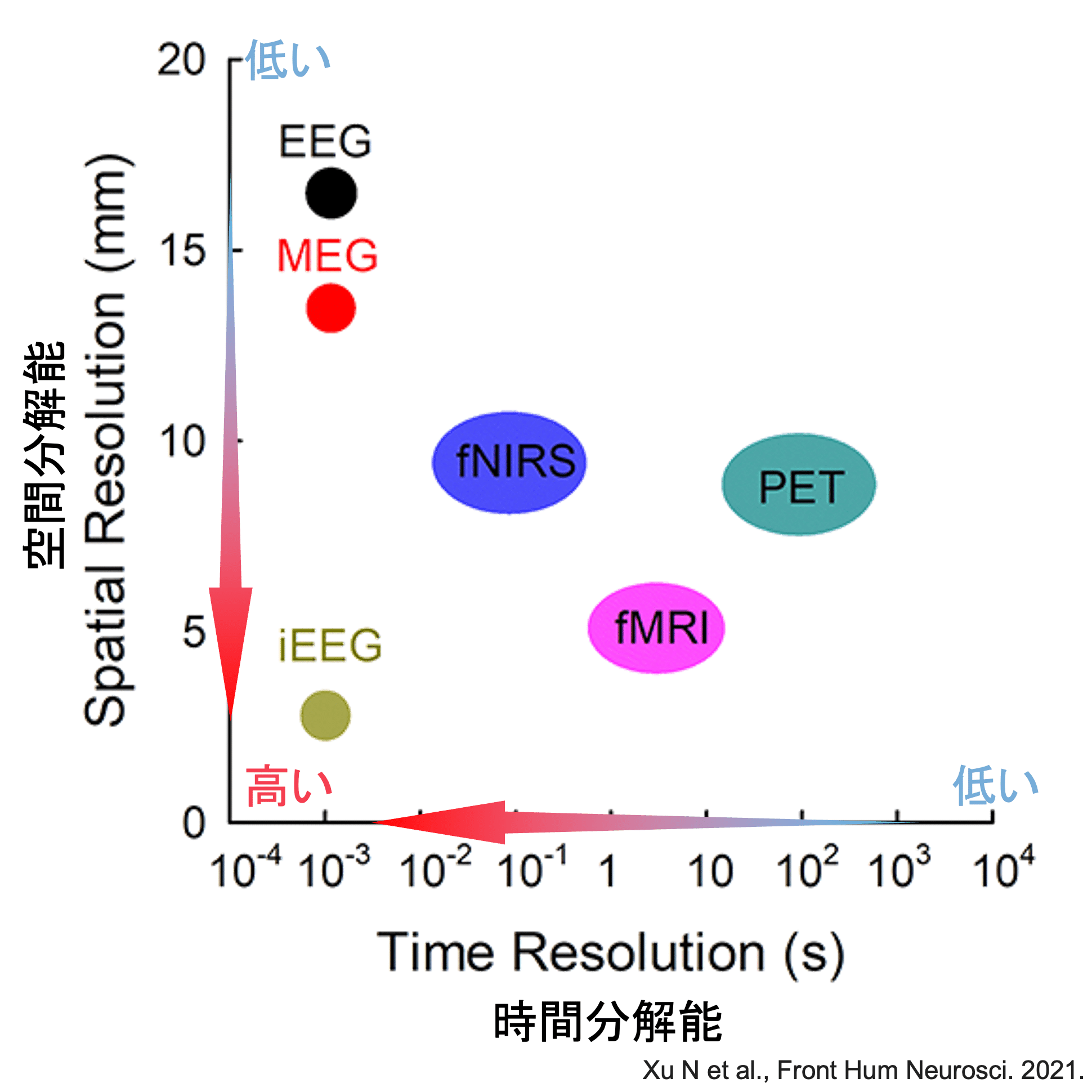 脳・生体データの解析と可視化: EEGとは？｜アラヤシキ │ アラヤ公式note