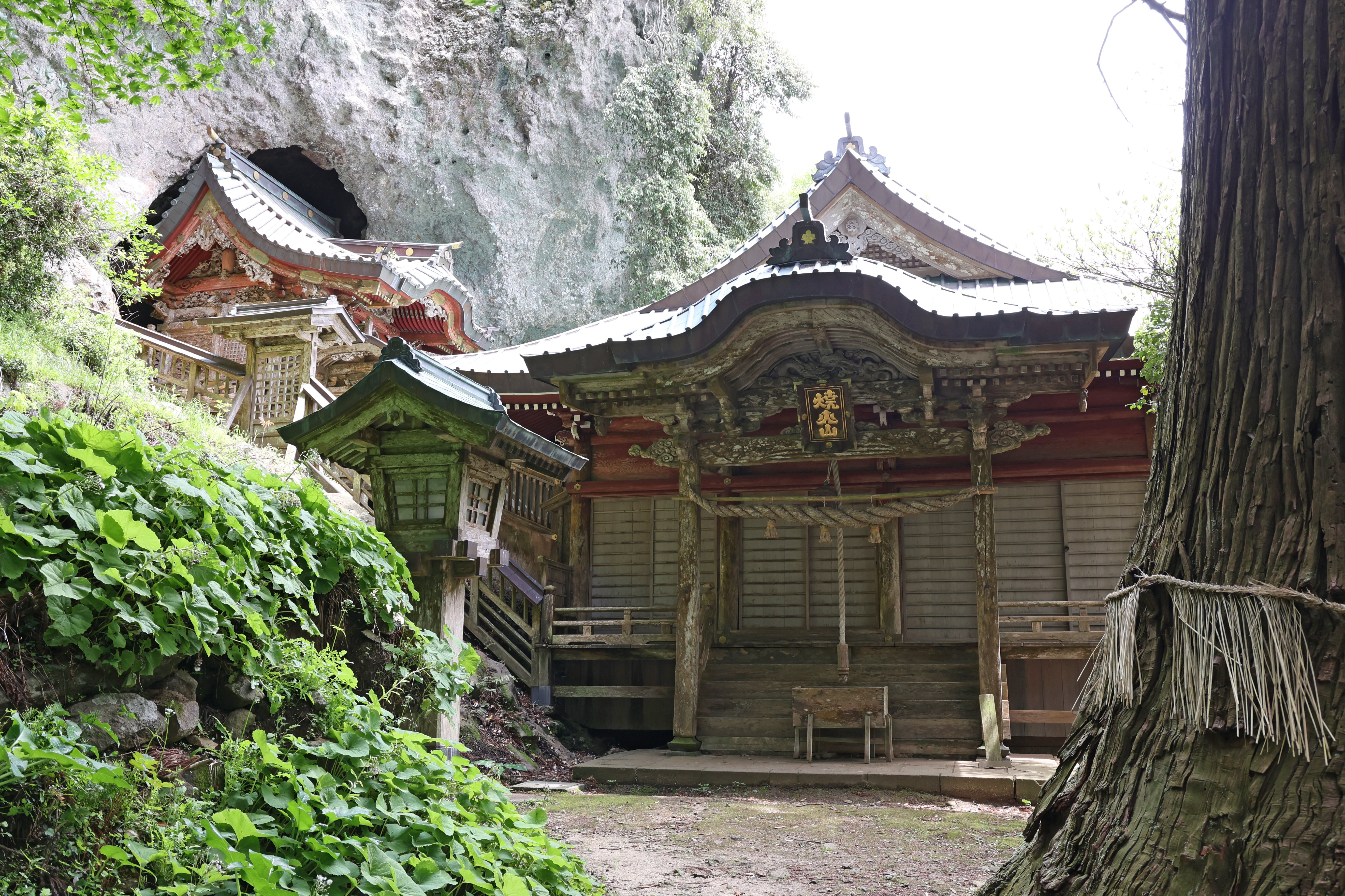 島根旅 part6】隠岐・西ノ島にある神秘的な焼火神社｜hinako l 古